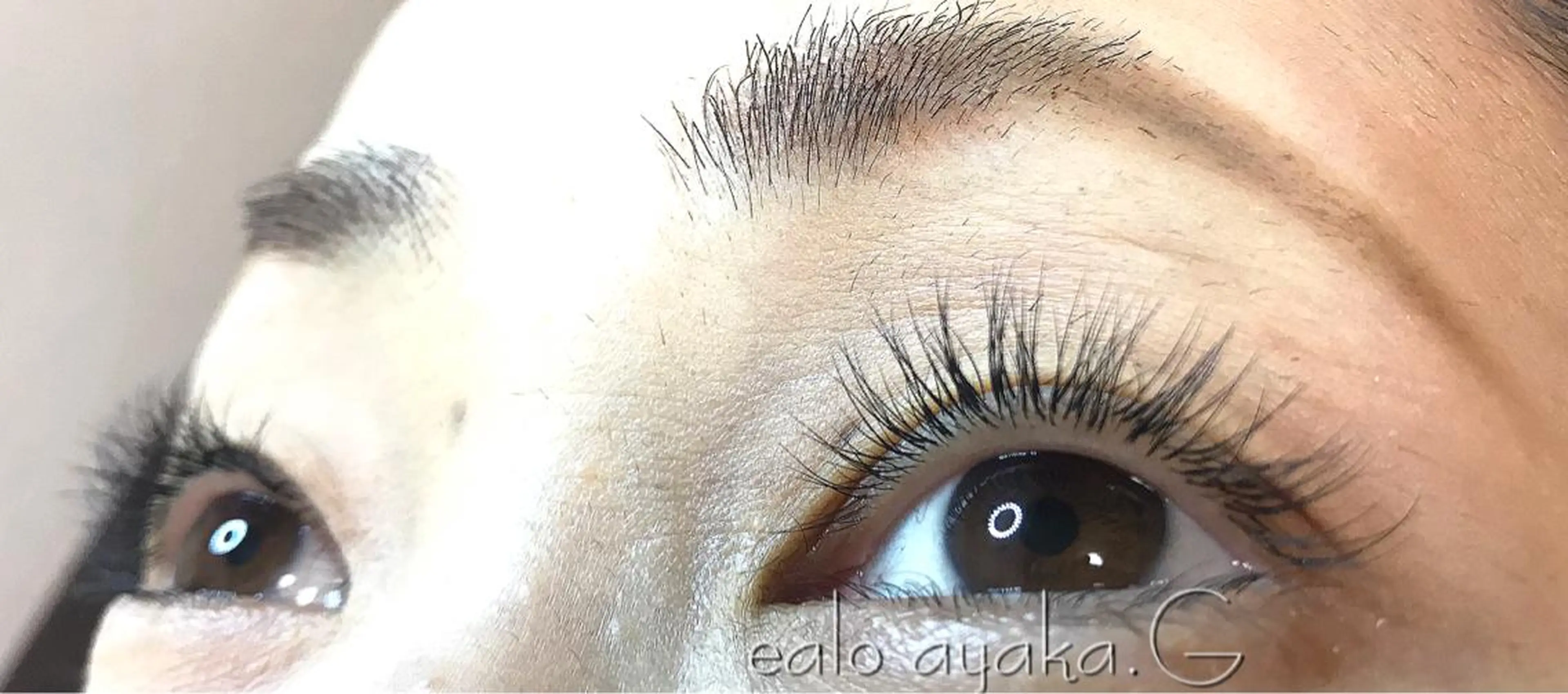 《新規》最高級セーブル100本 付け足し+500円オフ+1000円の写真