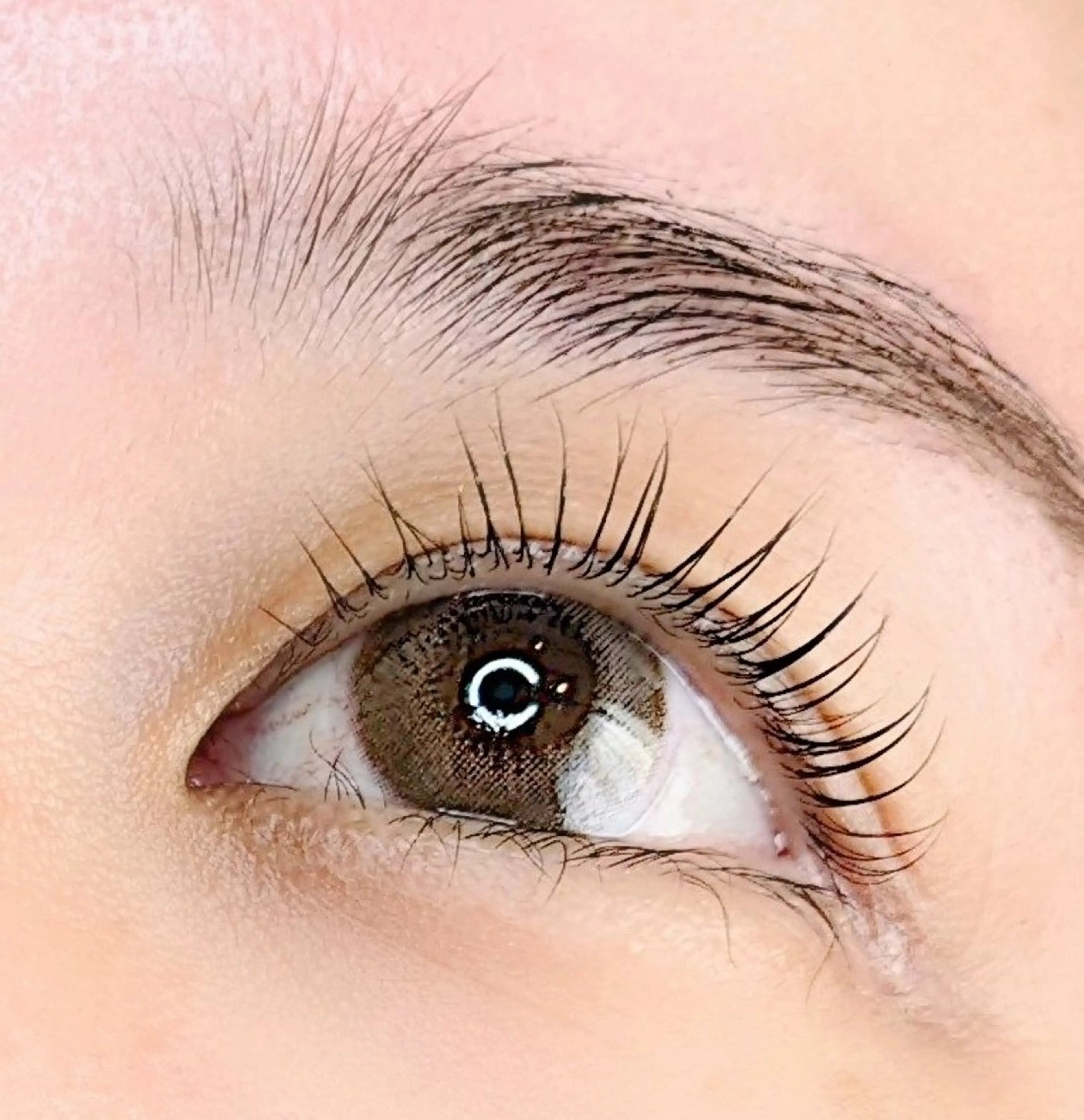 ✨大人気SET✨〚ラッシュリフト＋まつ育＋マッサージ〛まつげトリートメント、アイシャンプー、ケラチンパックまですべて込みの写真