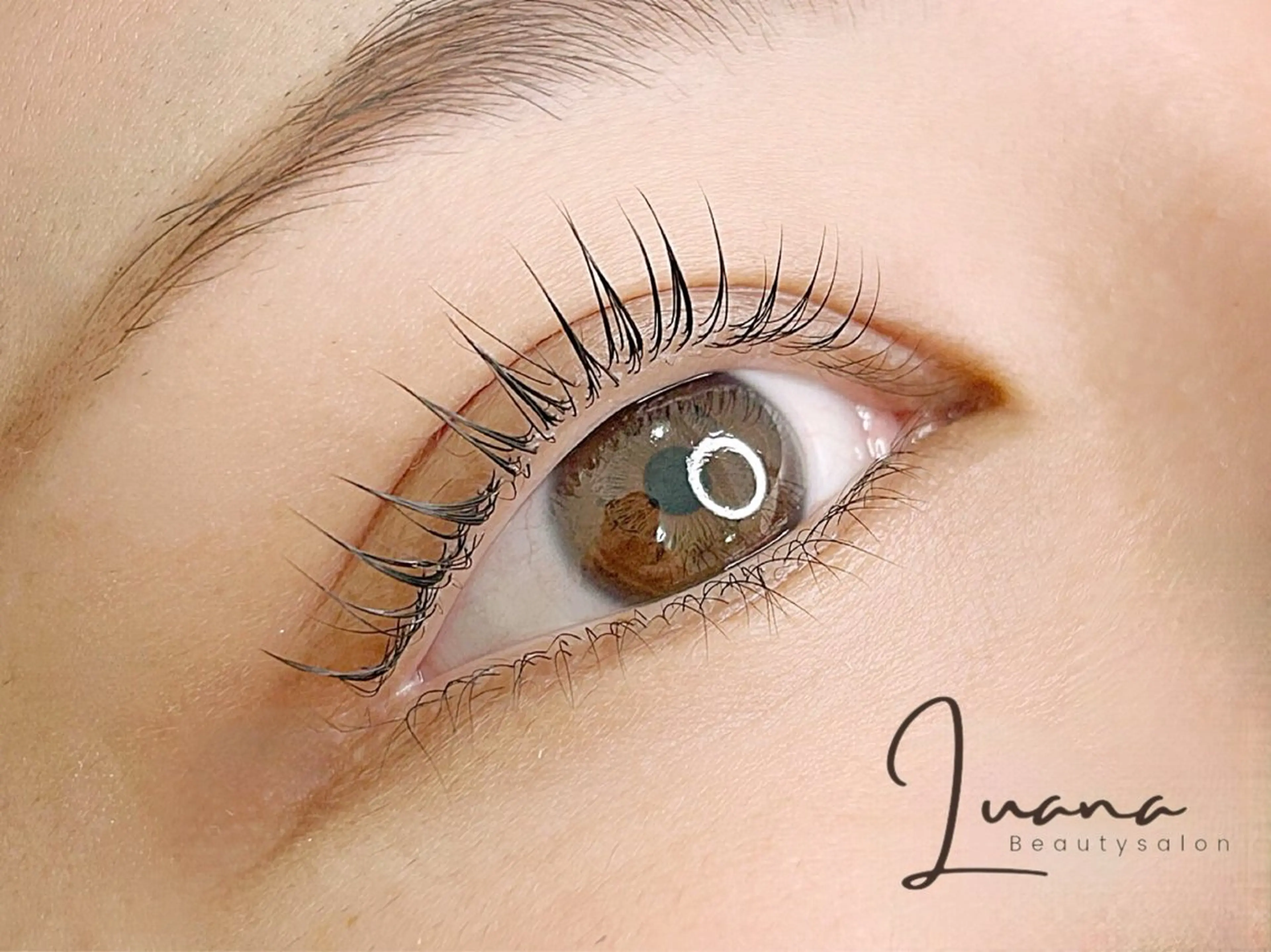 マツエク・マツパ 束感まつ毛 ナチュラル Stella.✨ Ikedaのマツエク・マツパデザイン