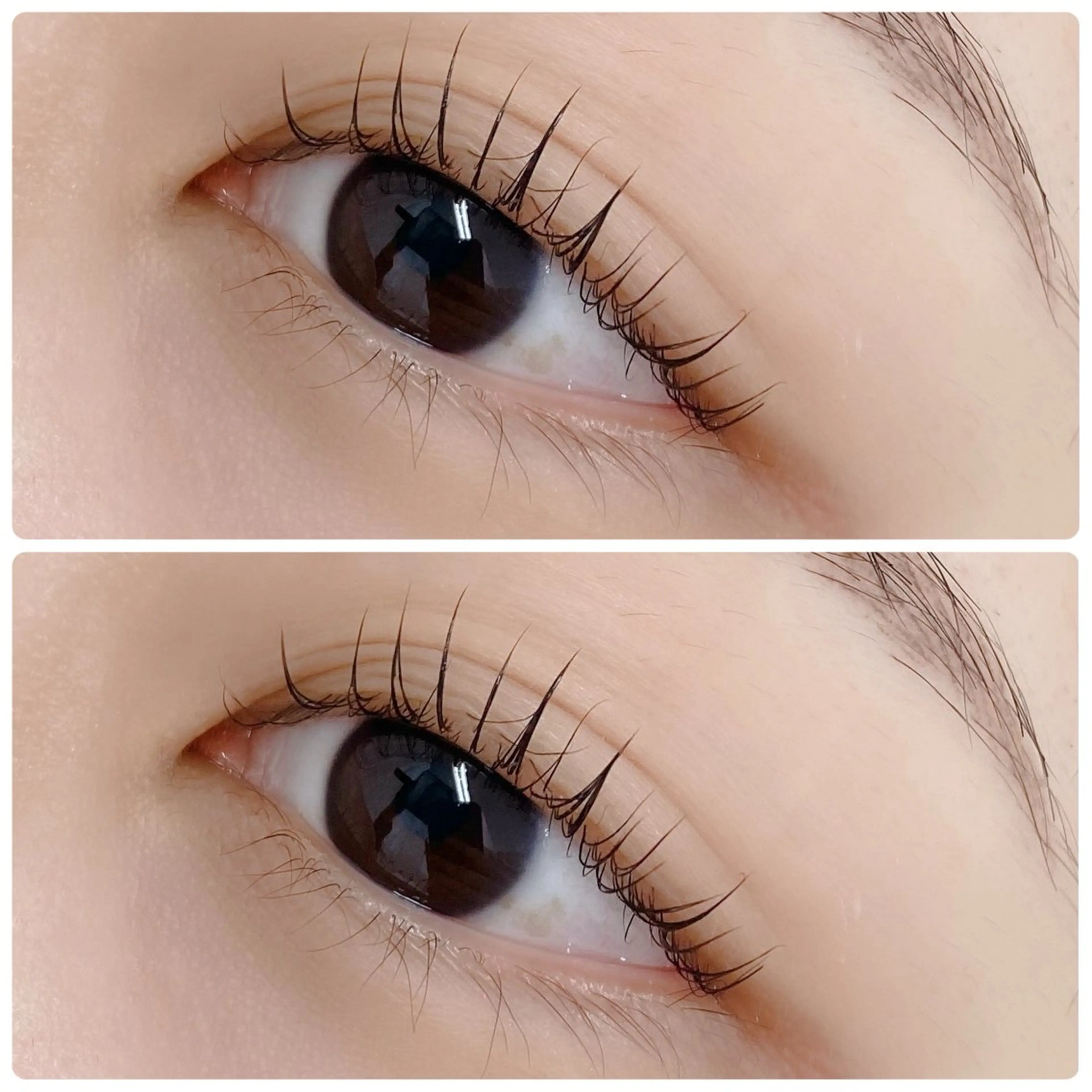 マツエク・マツパ eyelist 💙asakaの眉毛・アイブロウイメージ