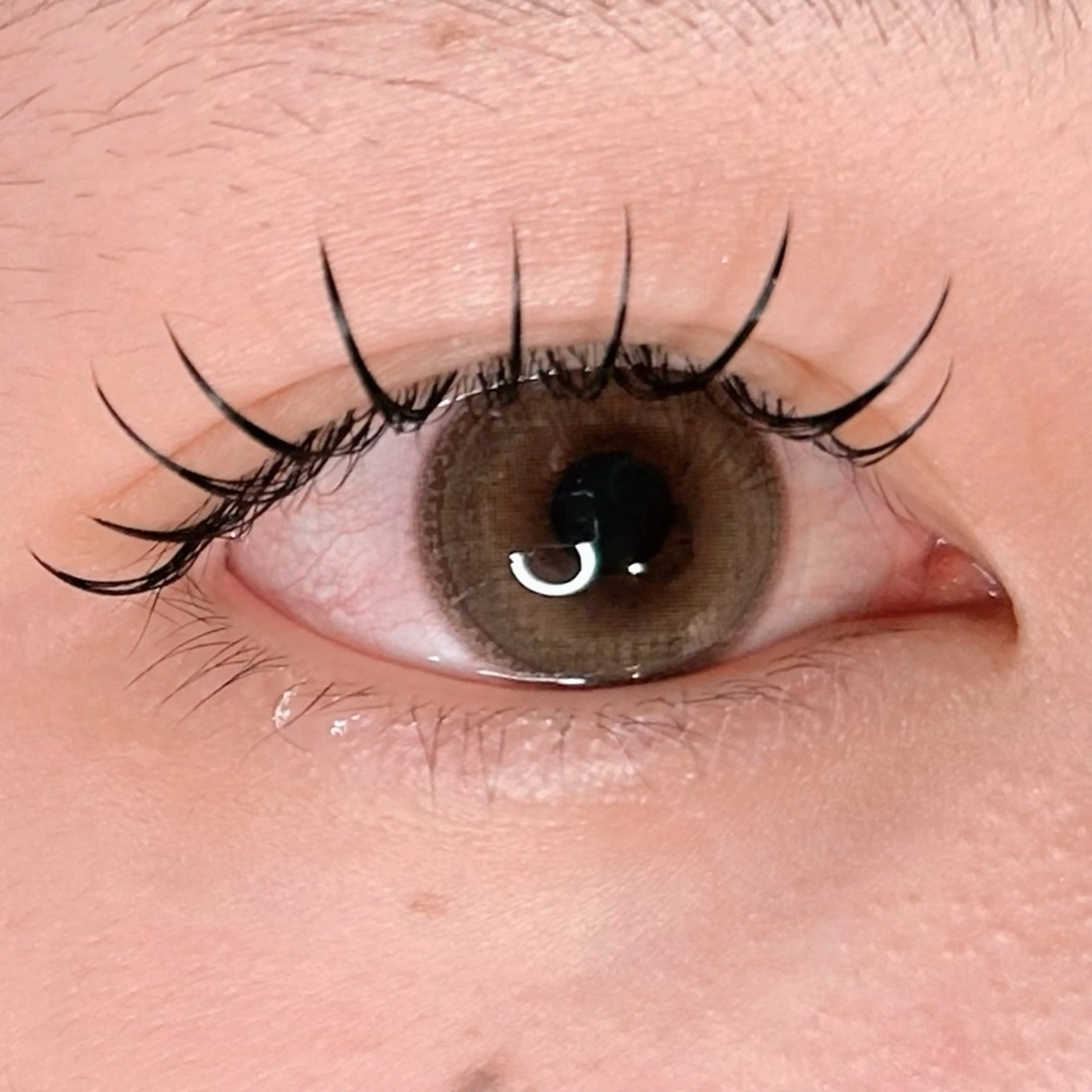 フラットラッシュ120本🎀LED変更可能の写真