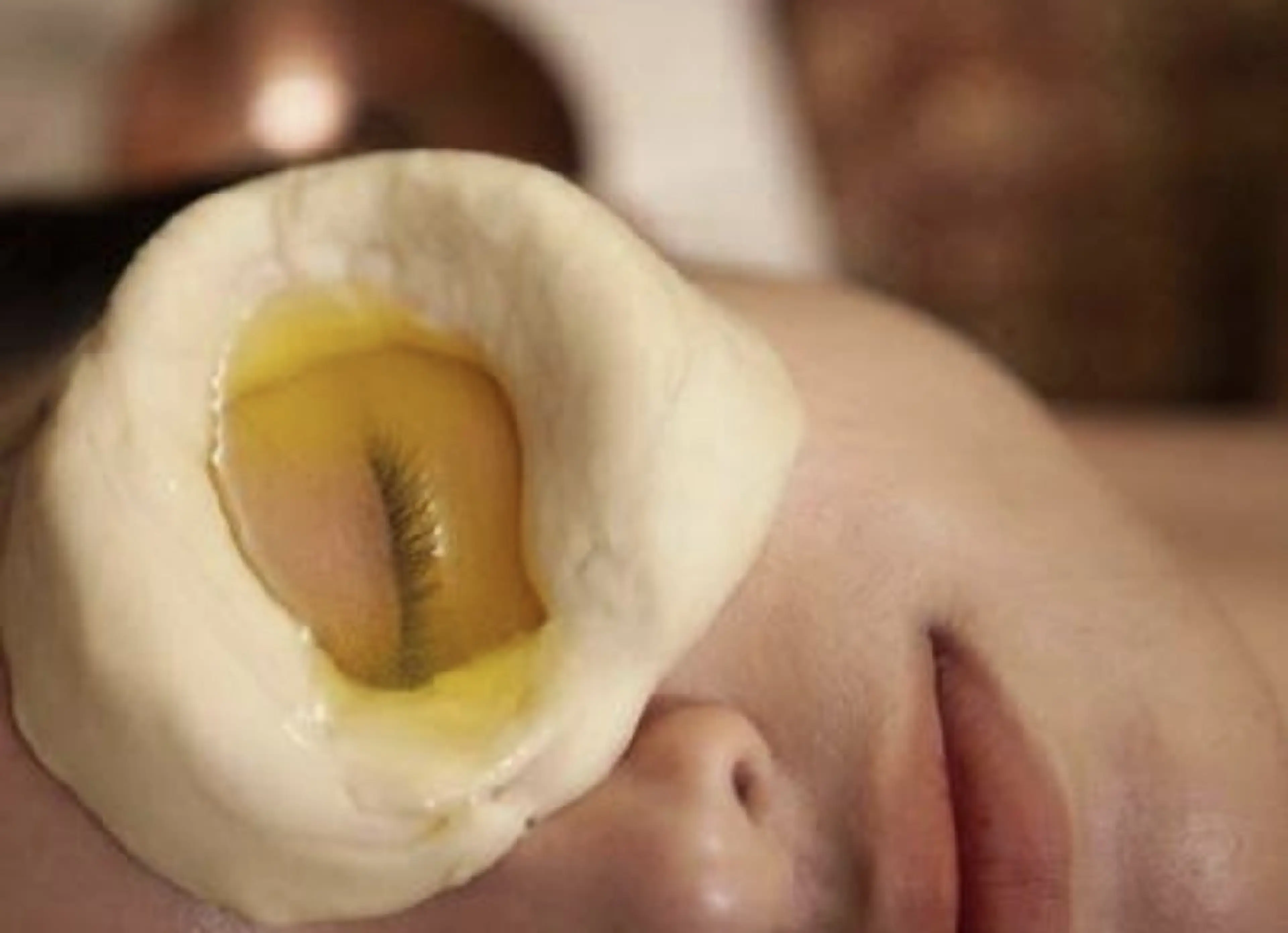 ネトラバスティの写真