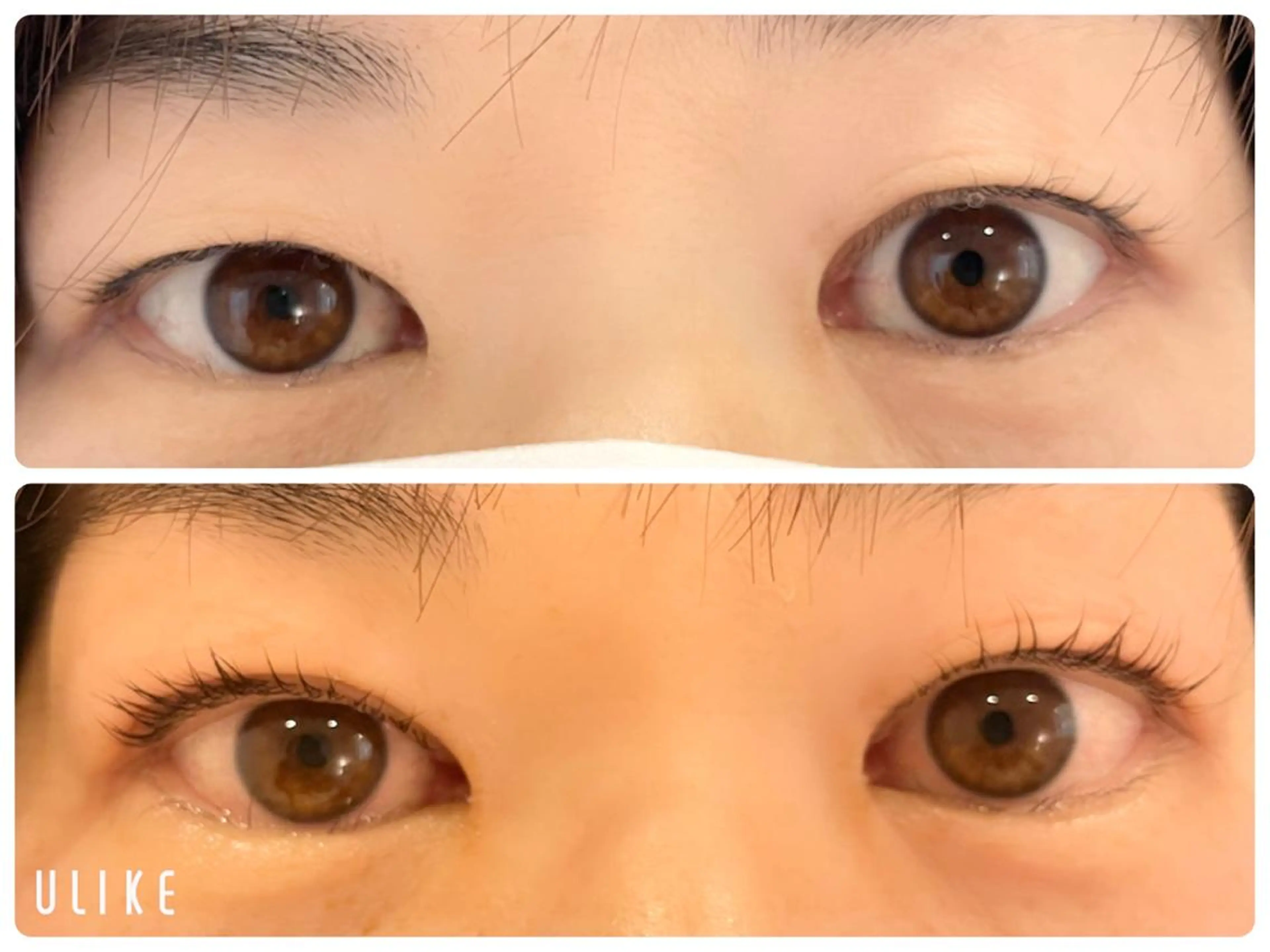 マツエク・マツパ Freude所属・Freude Yamaguchiのマツエク・マツパデザイン