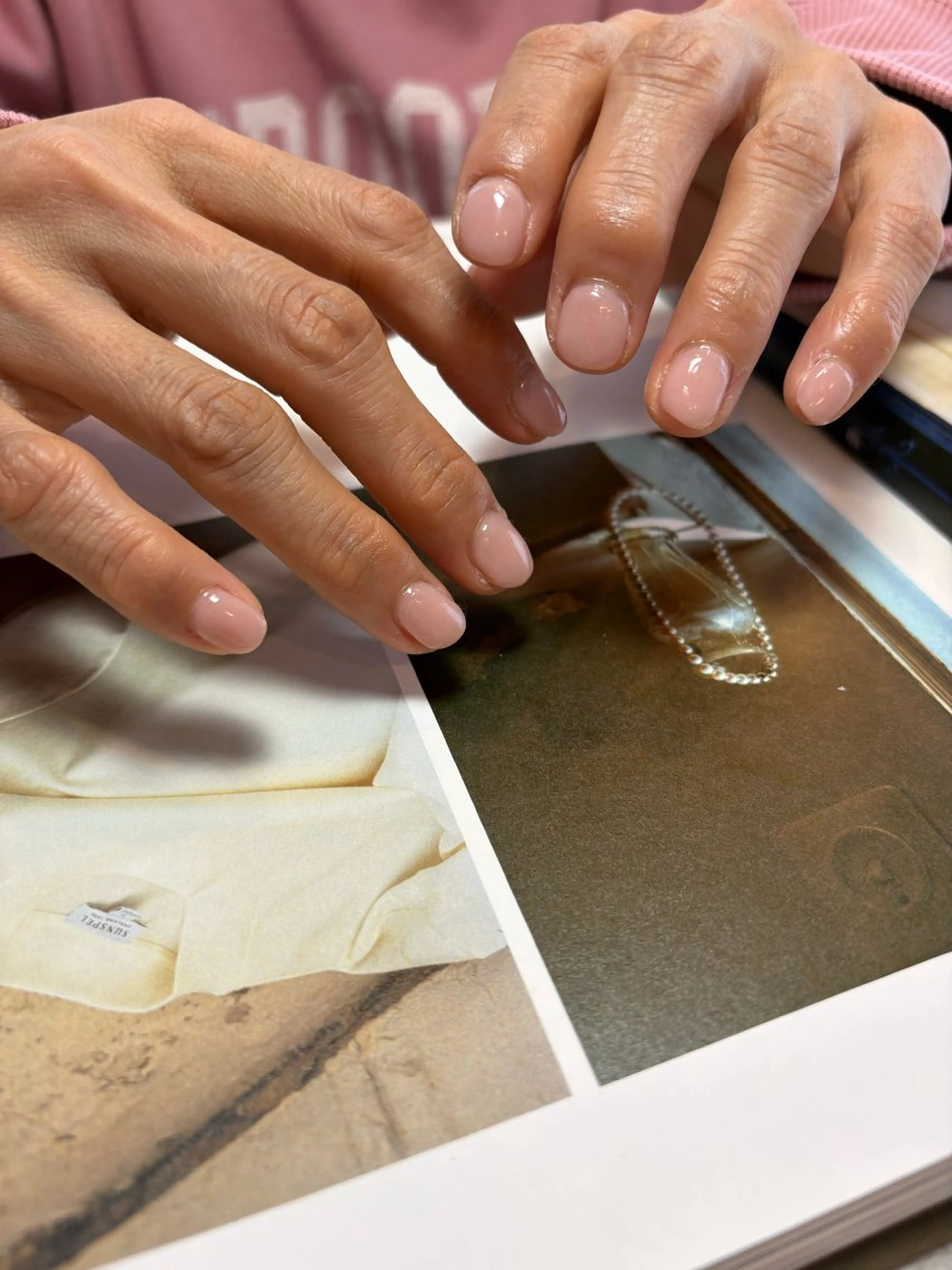 ワンカラーの写真