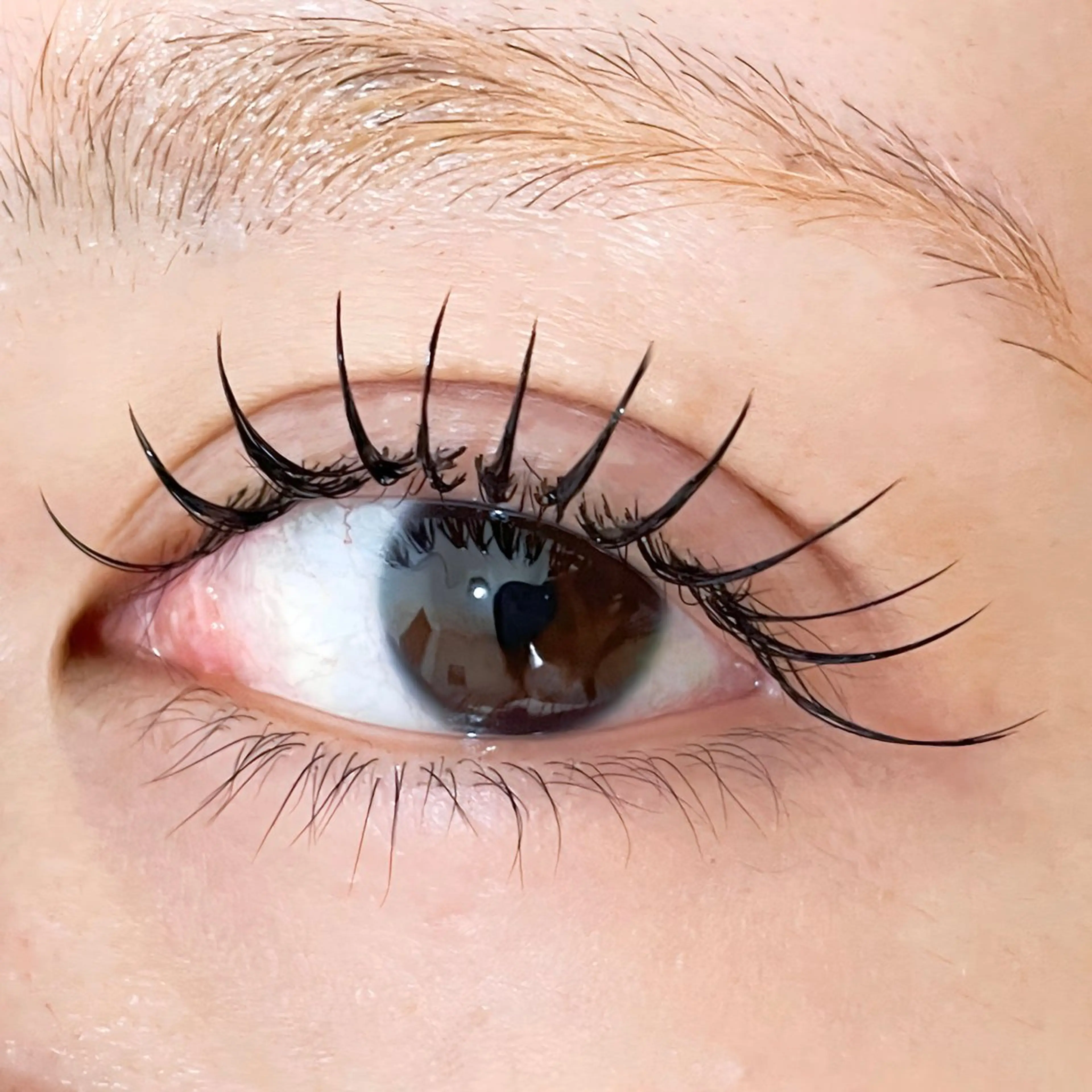 マツエク・マツパ 束感まつ毛 フラットラッシュ meeye&nail 【完全個室】のマツエク・マツパデザイン