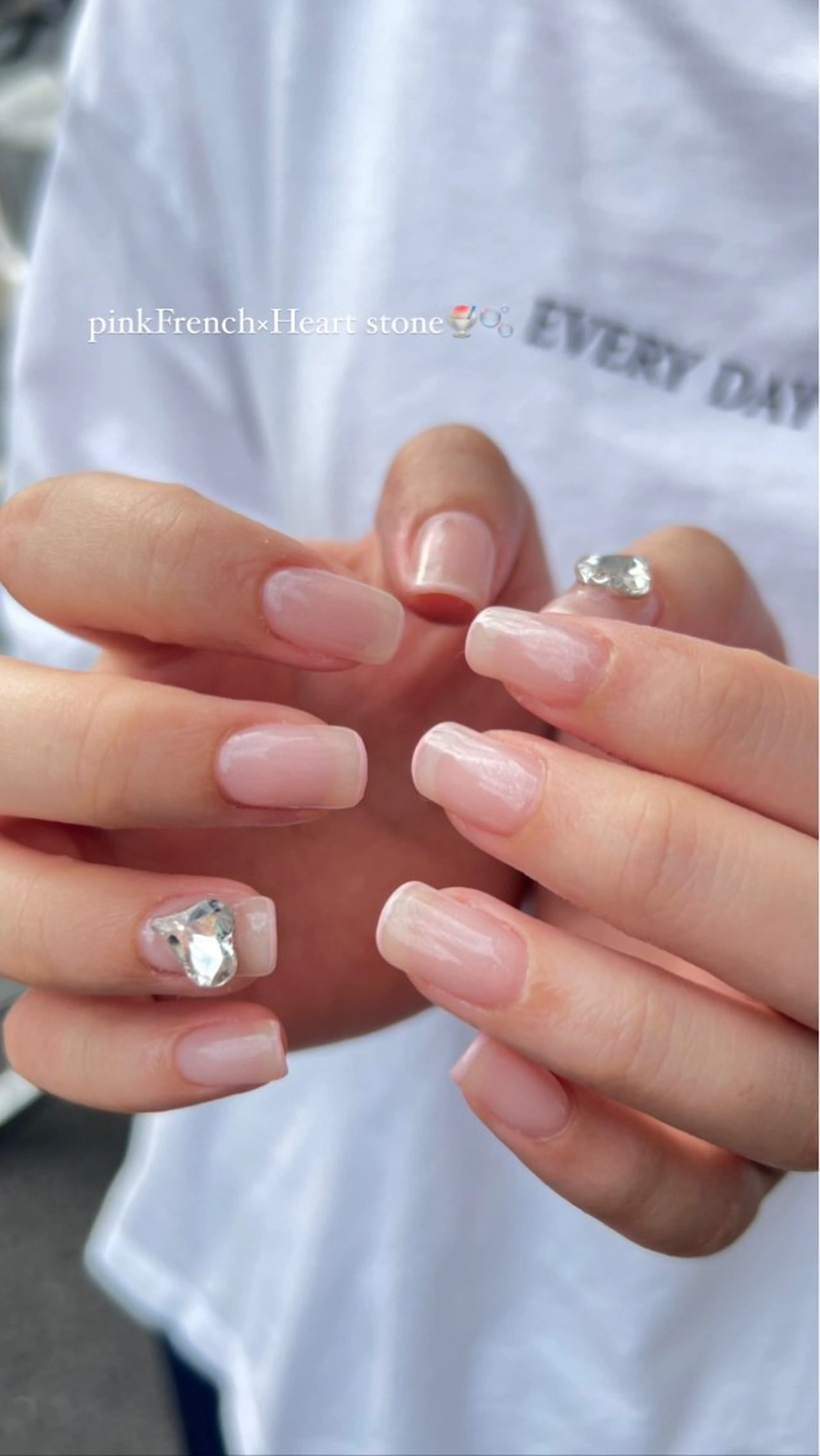 minimo限定  ワンカラー       【オフあり】 🐶の写真