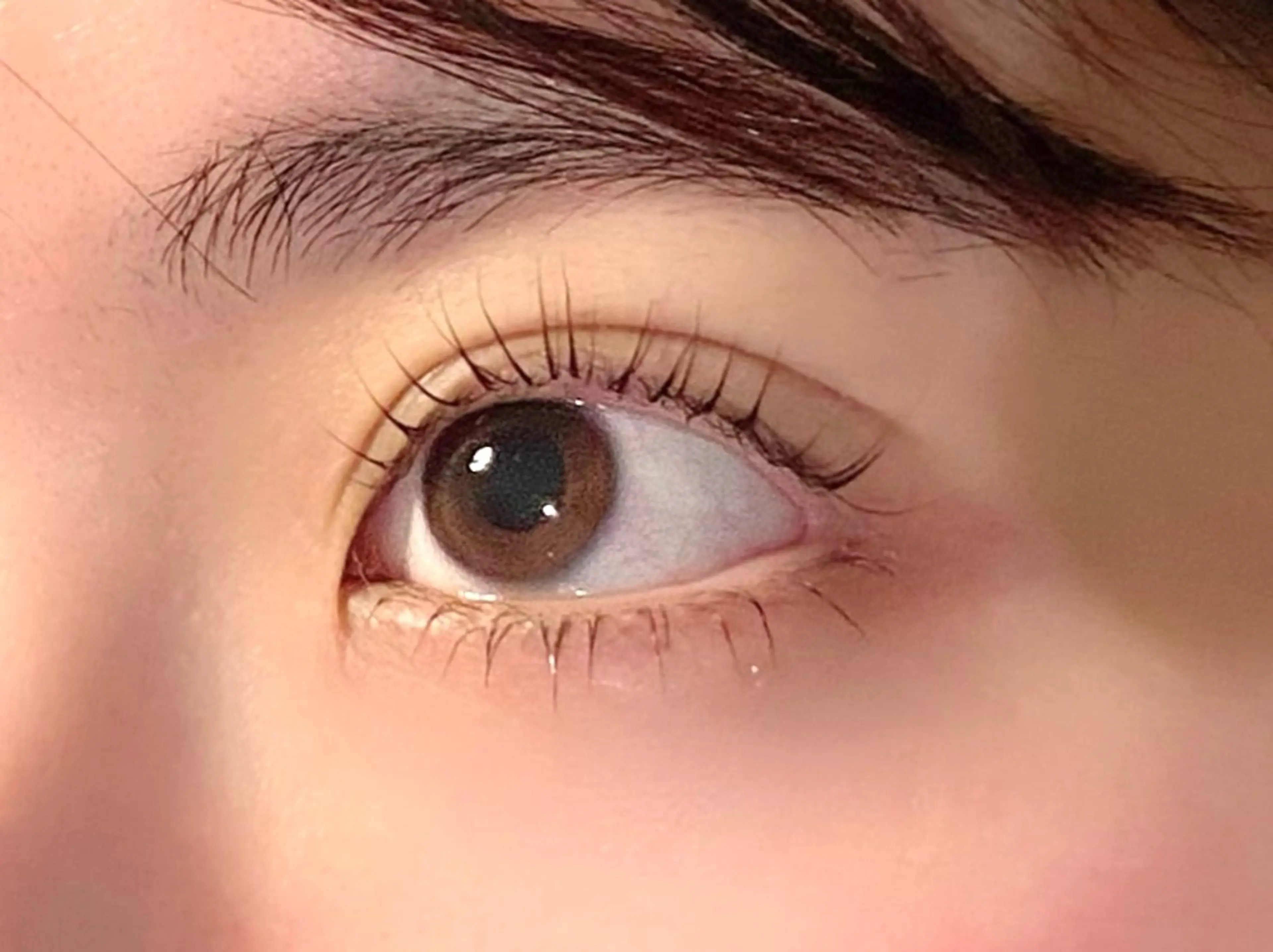 マツエク・マツパ マツパ ほんだ はるかのマツエク・マツパデザイン