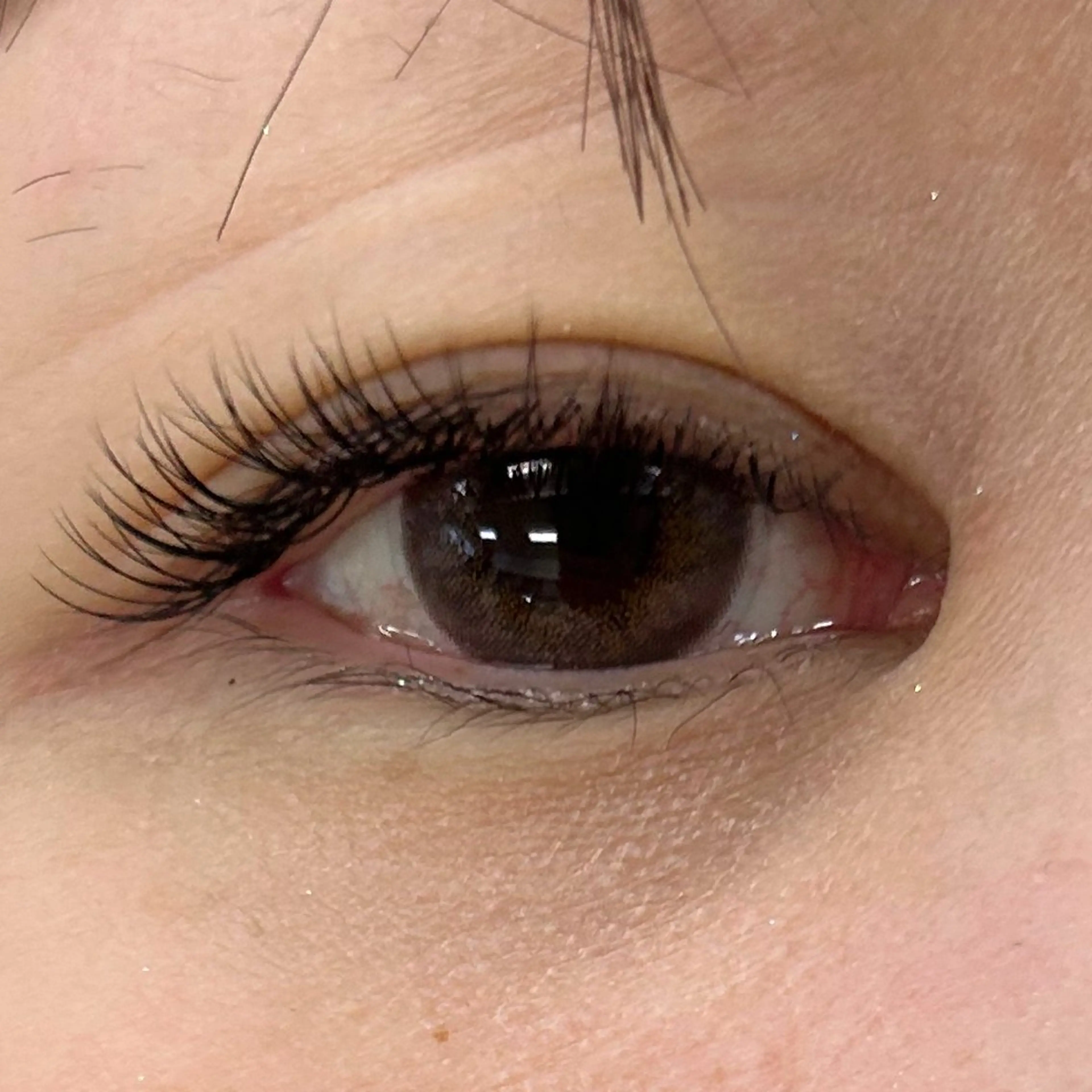 マツエク・マツパ TRU 🎀ANNAのマツエク・マツパデザイン