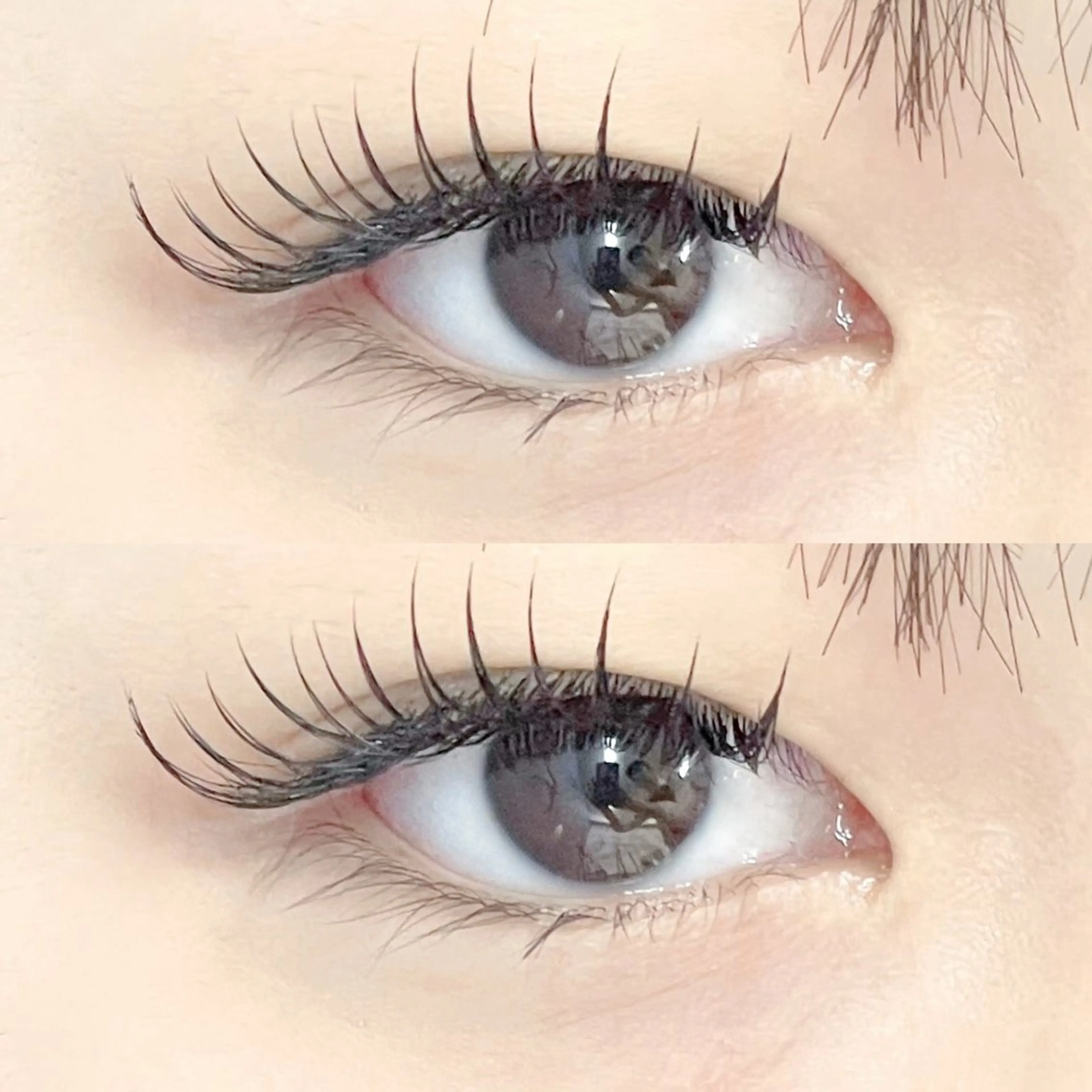 バインドロック60束➕コーティング付き🪐の写真