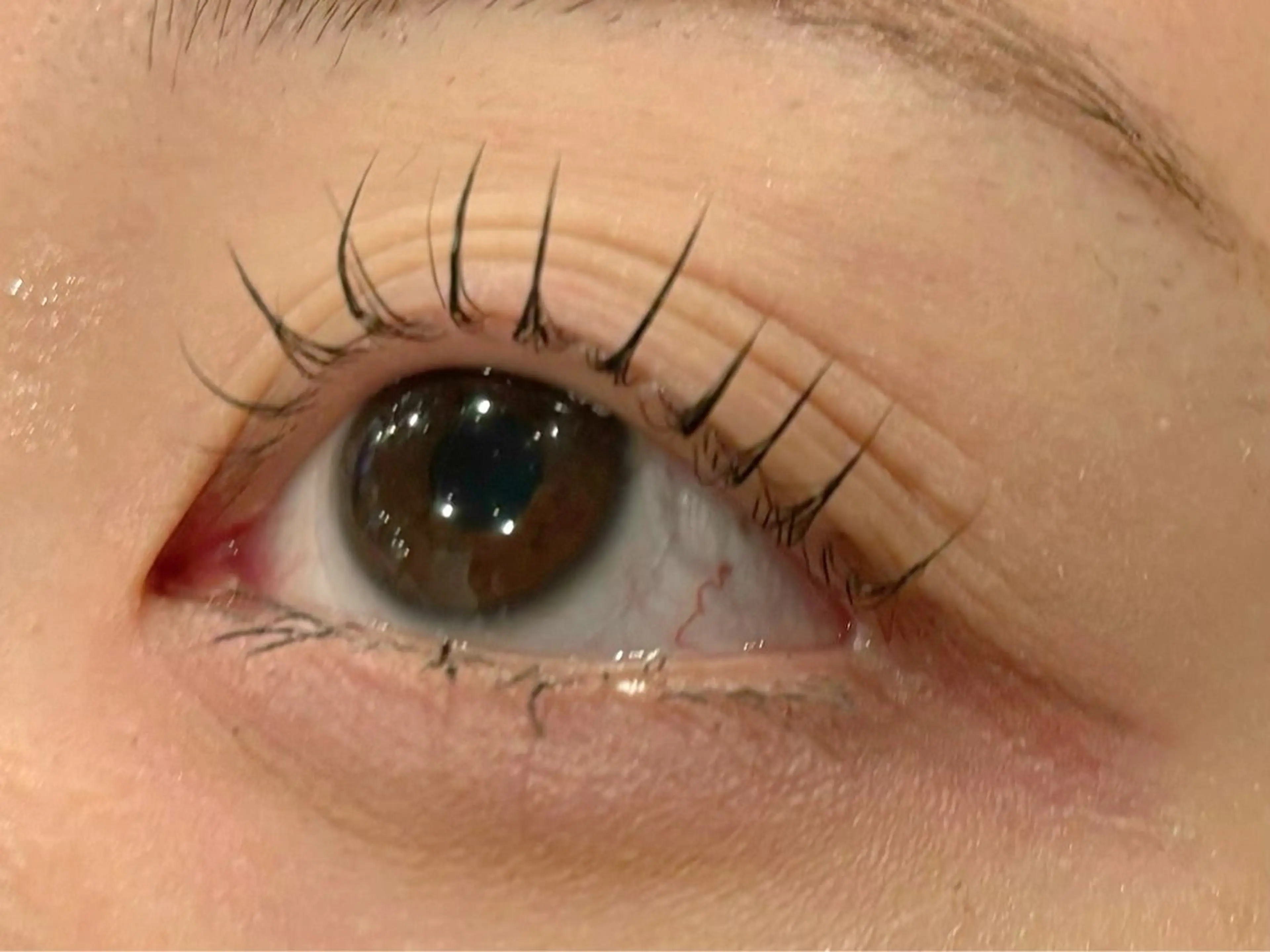 マツエク・マツパ OAK（オーク） 小倉店のマツエク・マツパデザイン