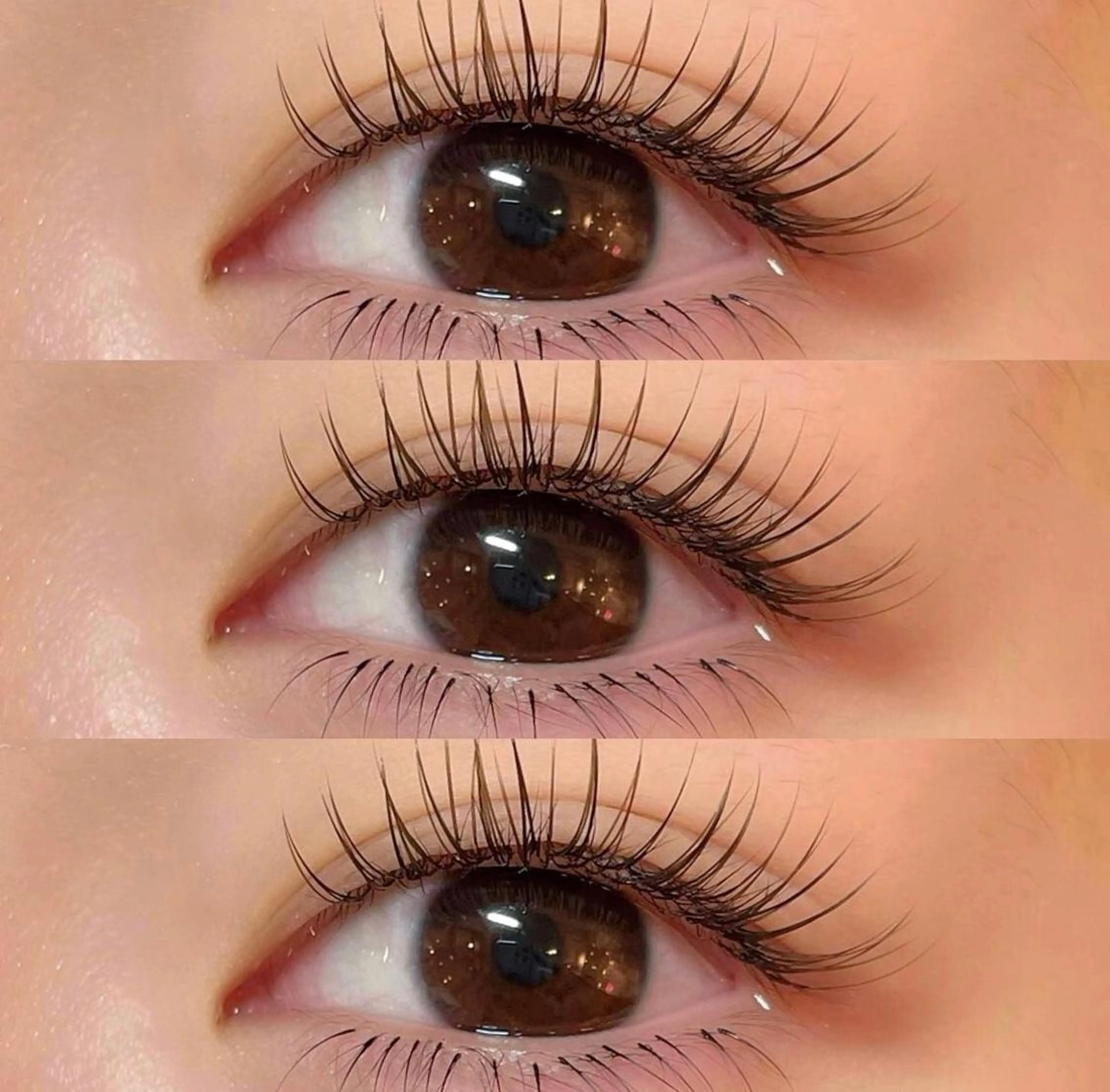 マツエク・マツパ 🌹ブリランテ🌹 大人気店のマツエク・マツパデザイン