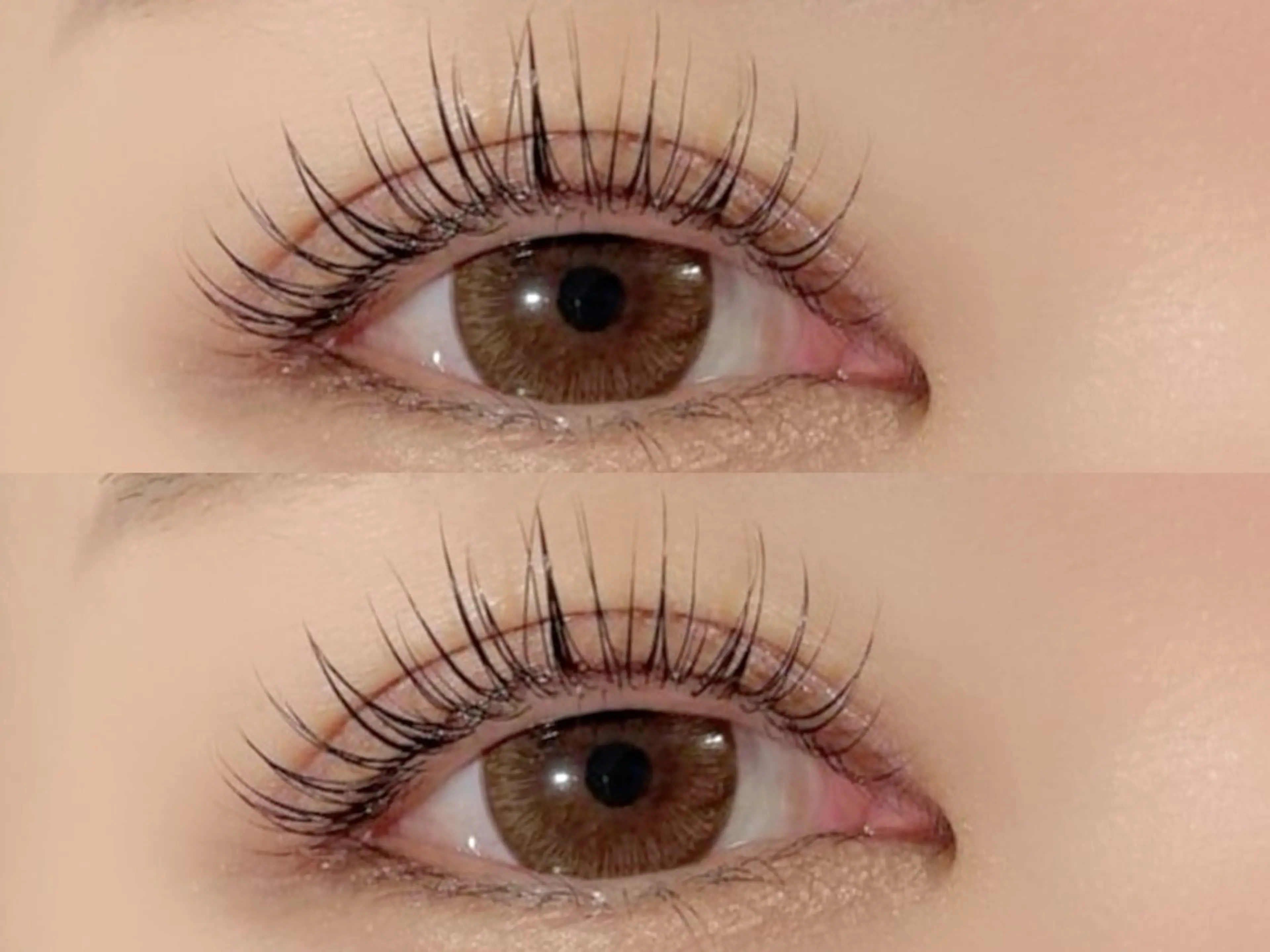 パリジェンヌラッシュ ✨コーティング付き✨ 3800円の写真