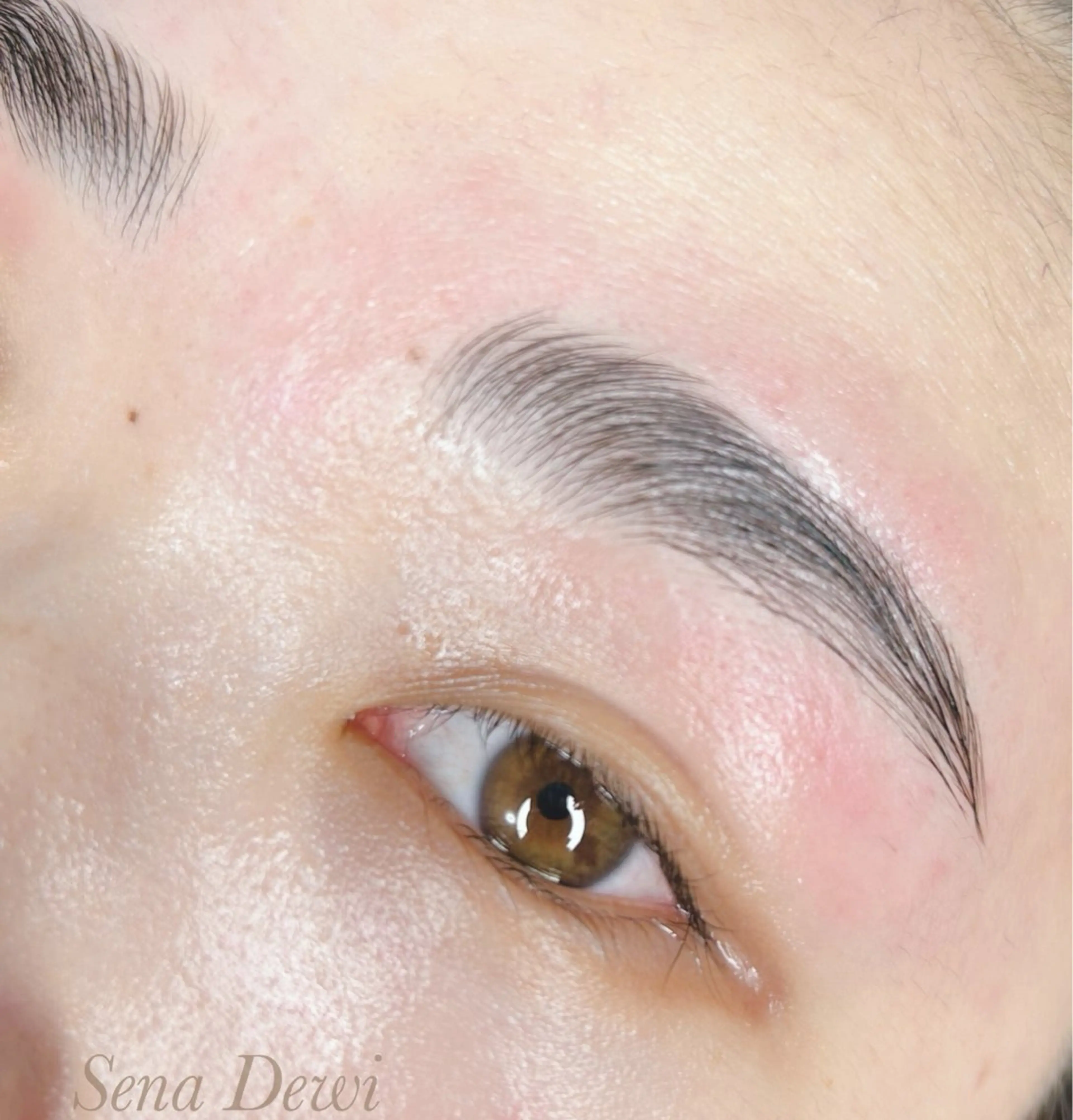 アイブロウ Sena Dewi Yukiの眉毛・アイブロウイメージ