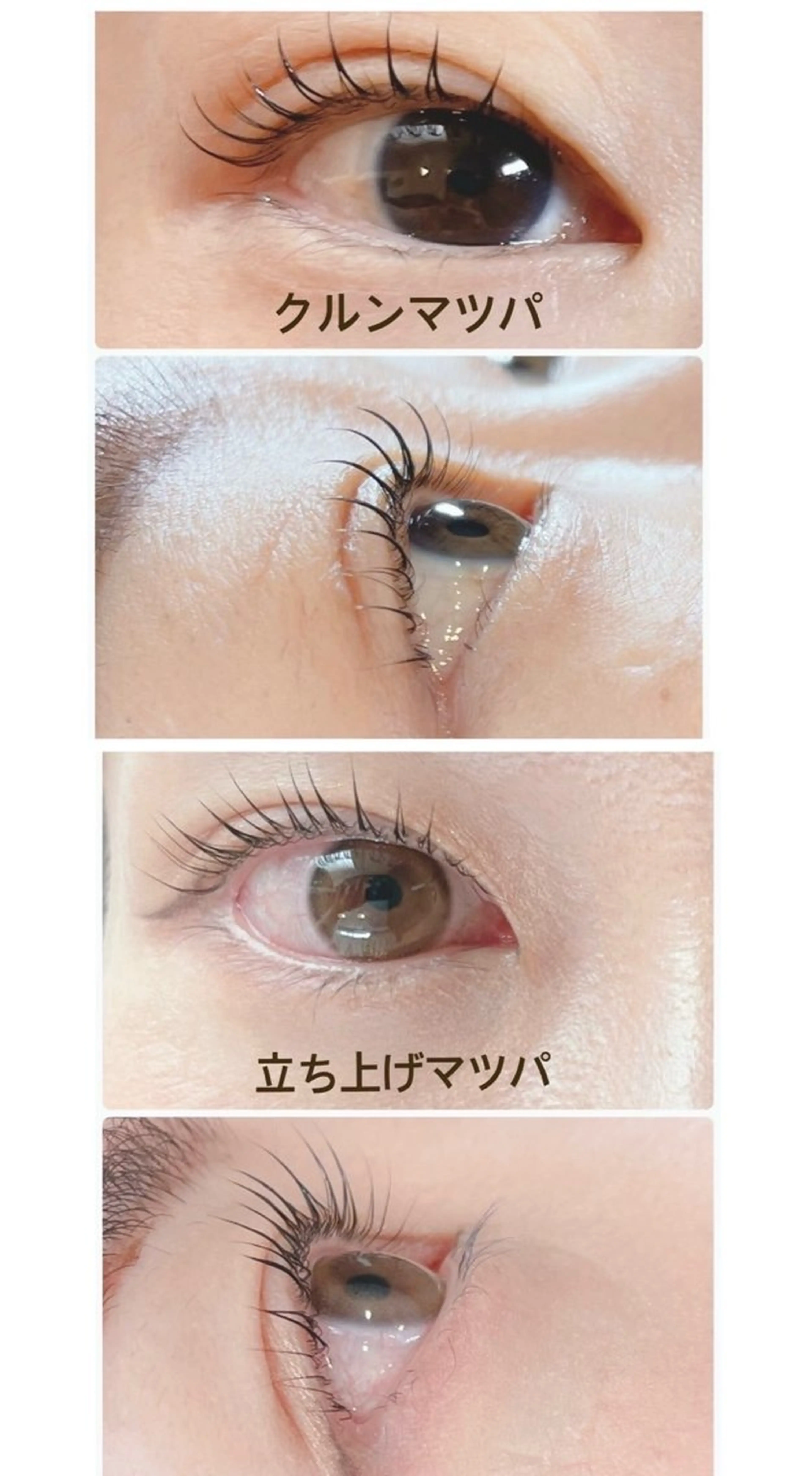 マツエク・マツパ Trusta プライベートサロンのマツエク・マツパデザイン