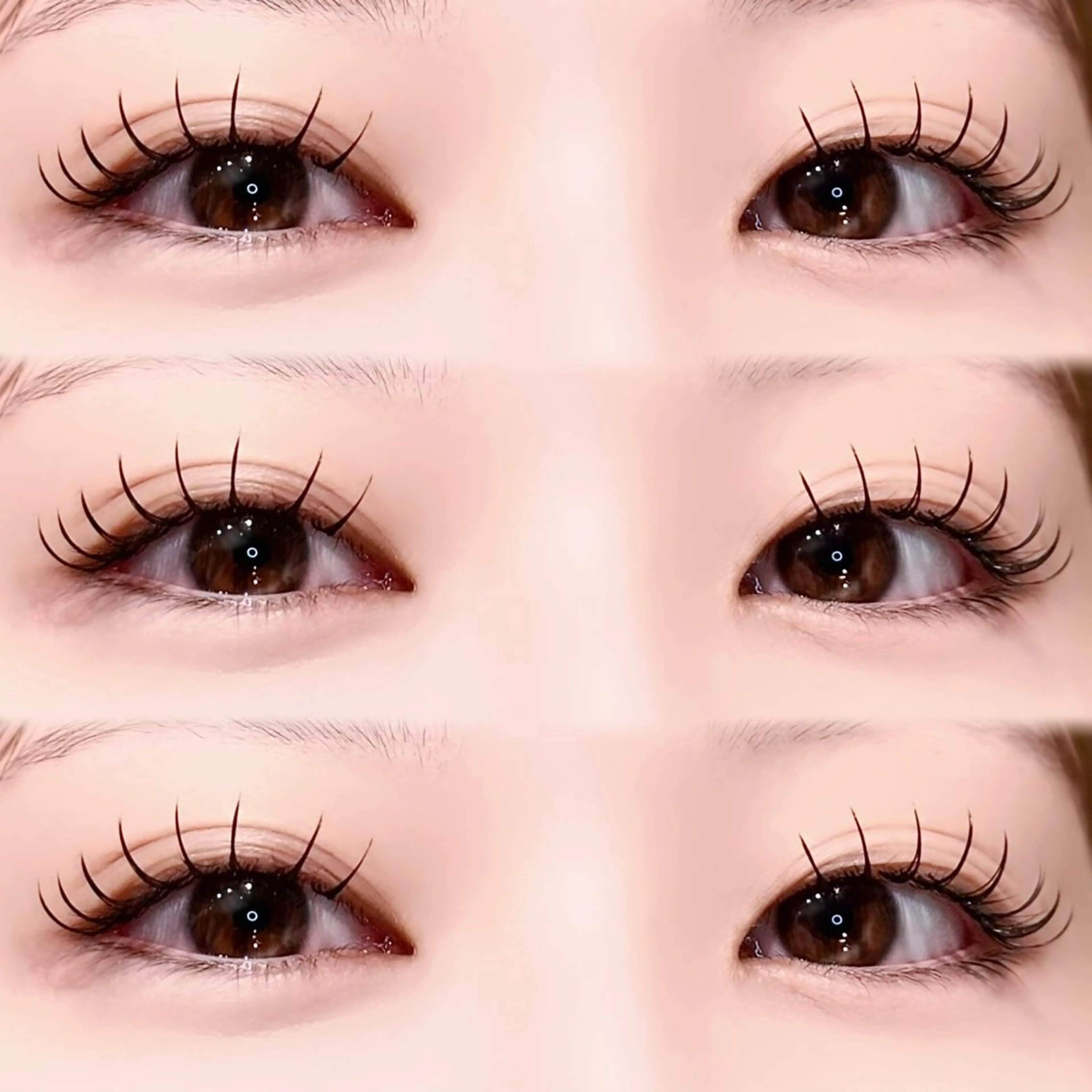 🔒バインドロック60束🔓オフ無料**コーティング付⭐︎の写真