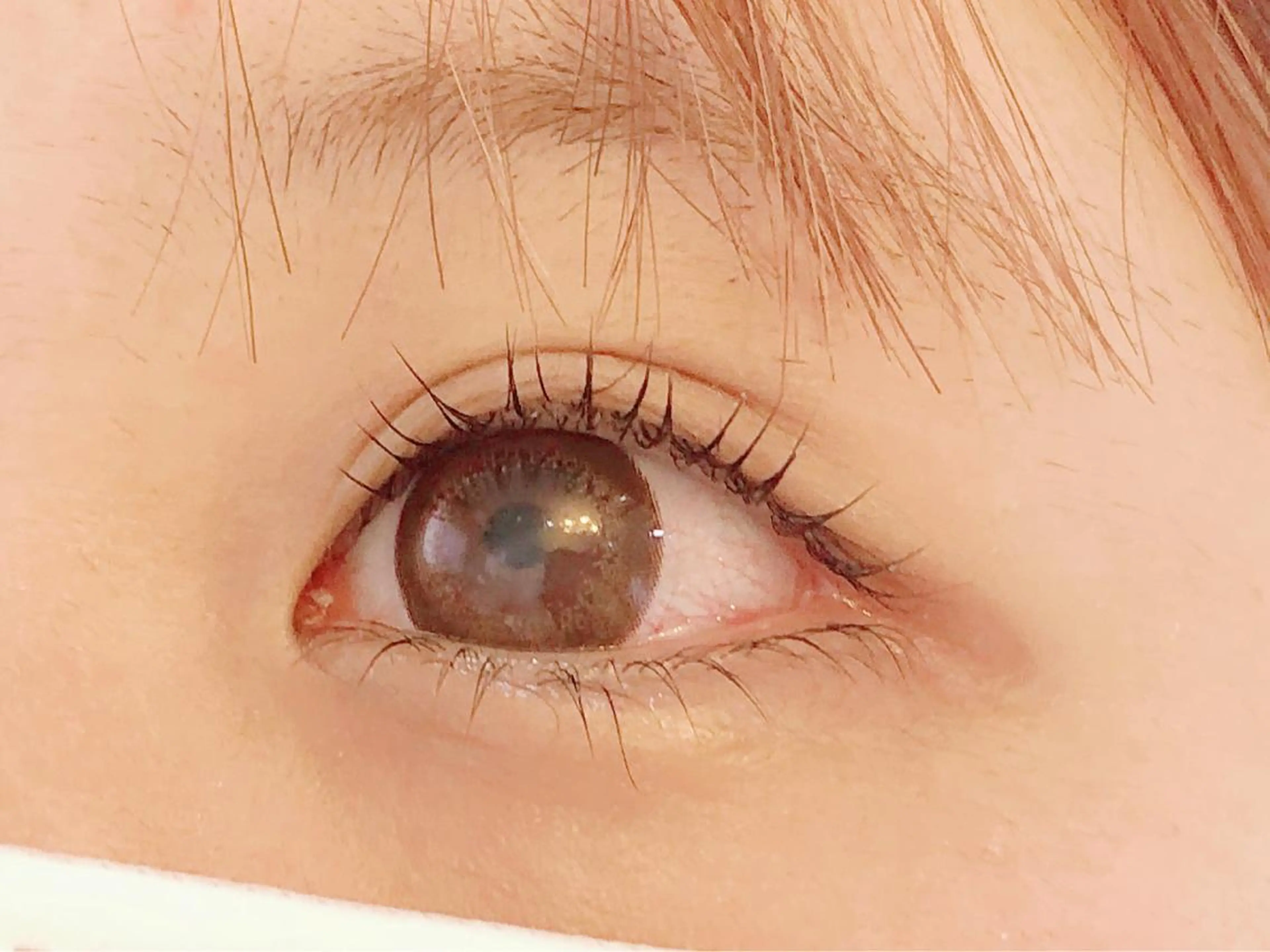 マツエク・マツパ 一重×まつ毛パーマ Angela アンジェラ南増尾のエステ・リラクイメージ