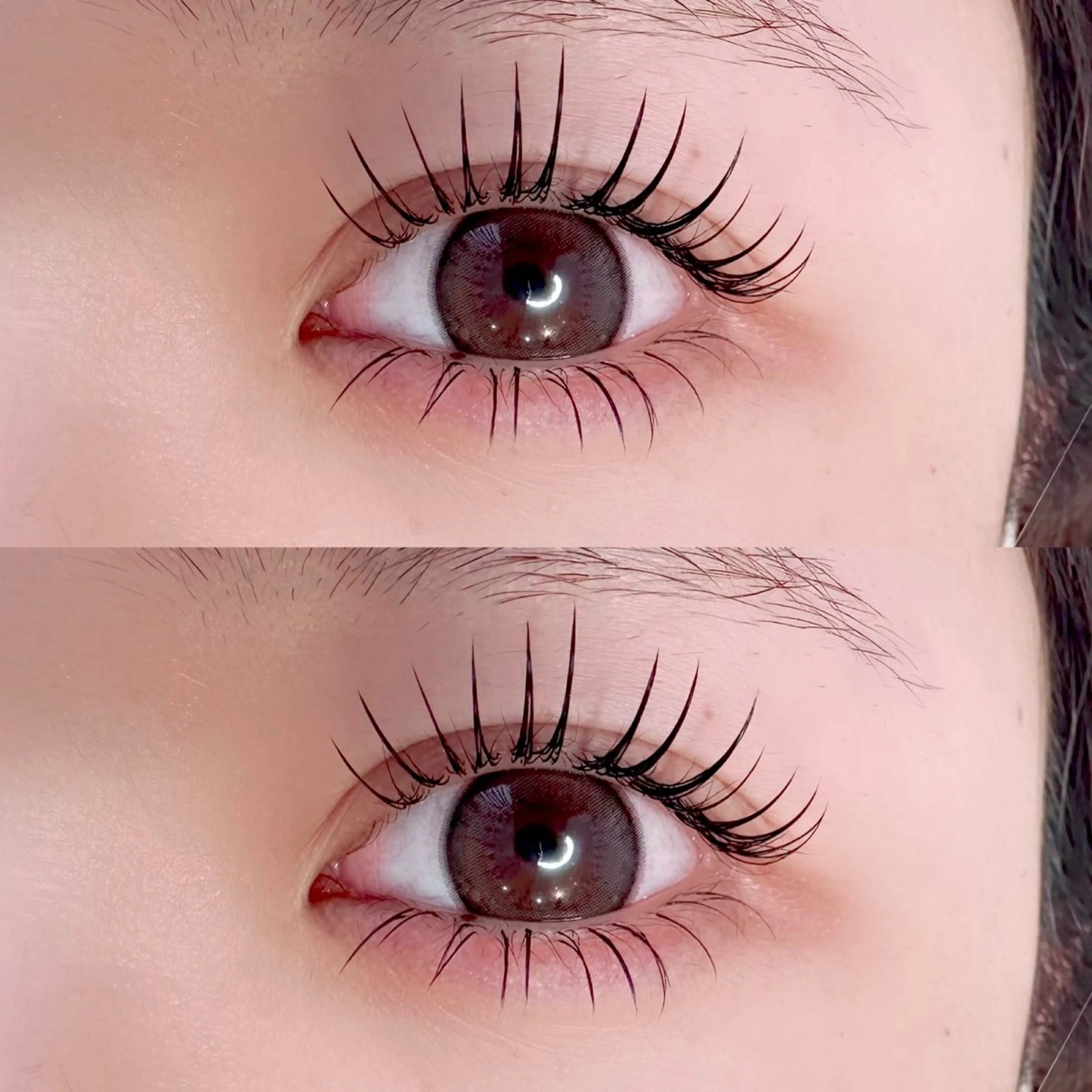 フラットラッシュ160本（上下に振り分け可能）の写真