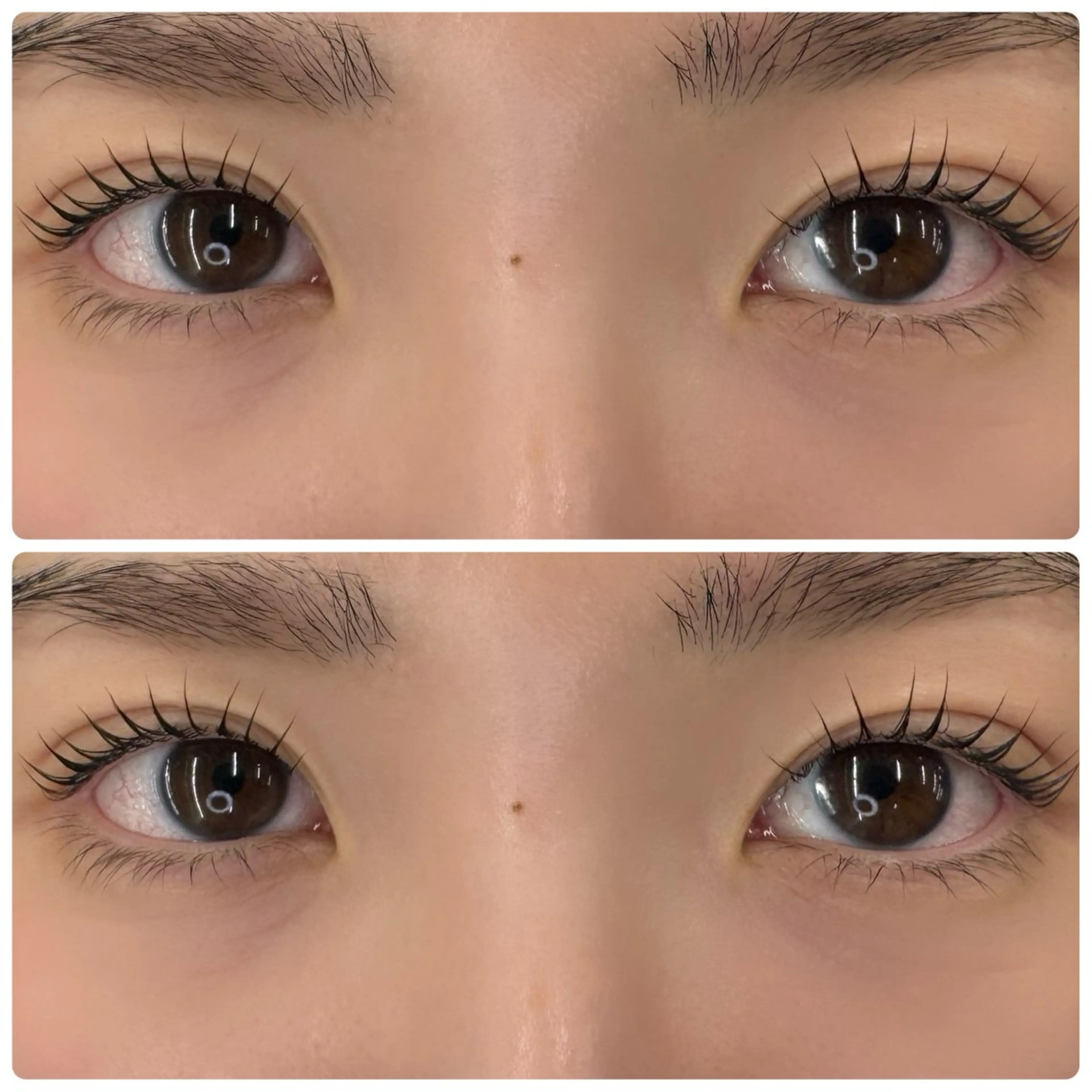 マツエク・マツパ マツパ 眉毛とまつげパーマの専門店　ロレインブロウ　豊橋店所属・noro hironoのマツエク・マツパデザイン