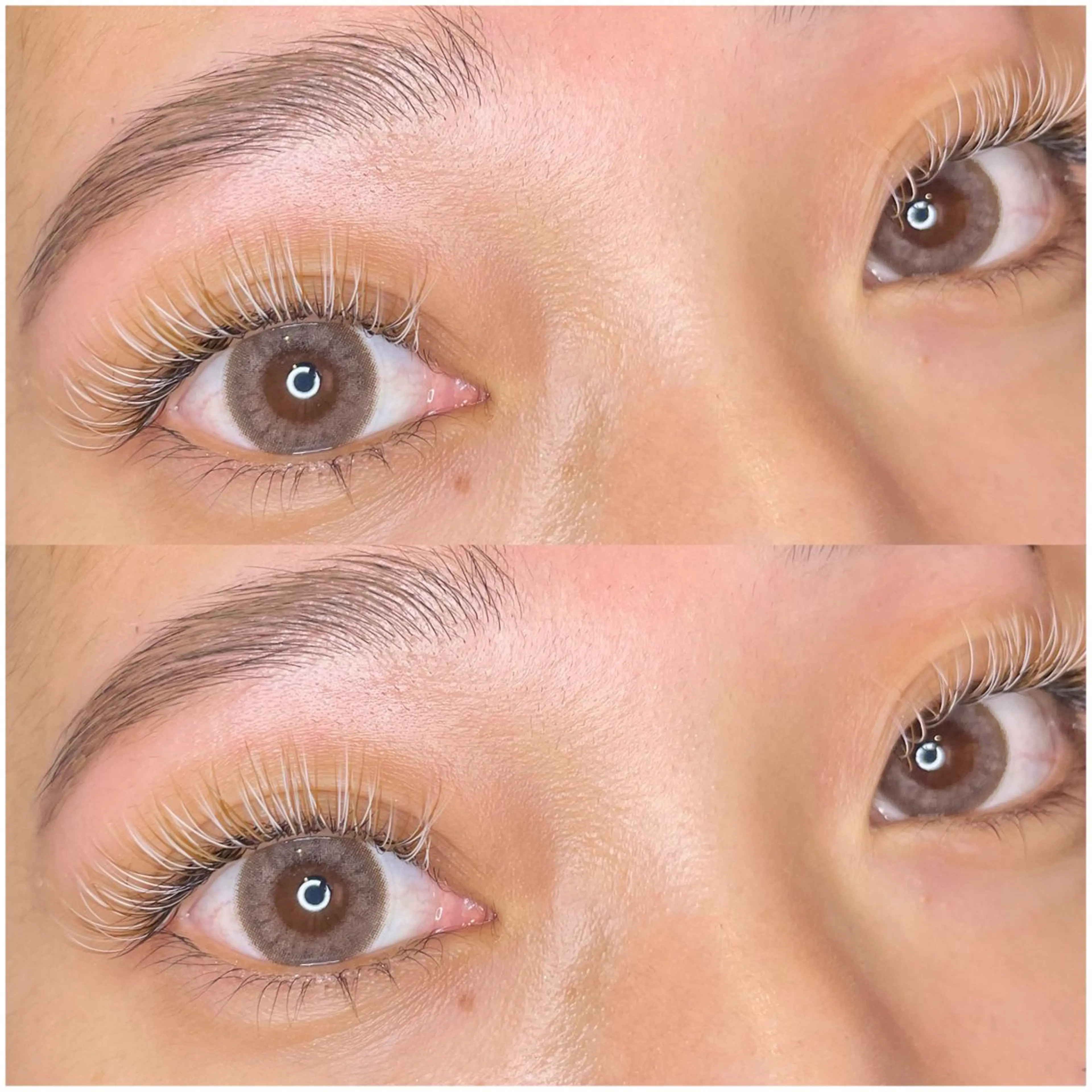 マツエク・マツパ アイブロウ 眉カラー ハリウッドブロウリフト バインドロック Camarón まつ毛&眉毛サロンのマツエク・マツパデザイン