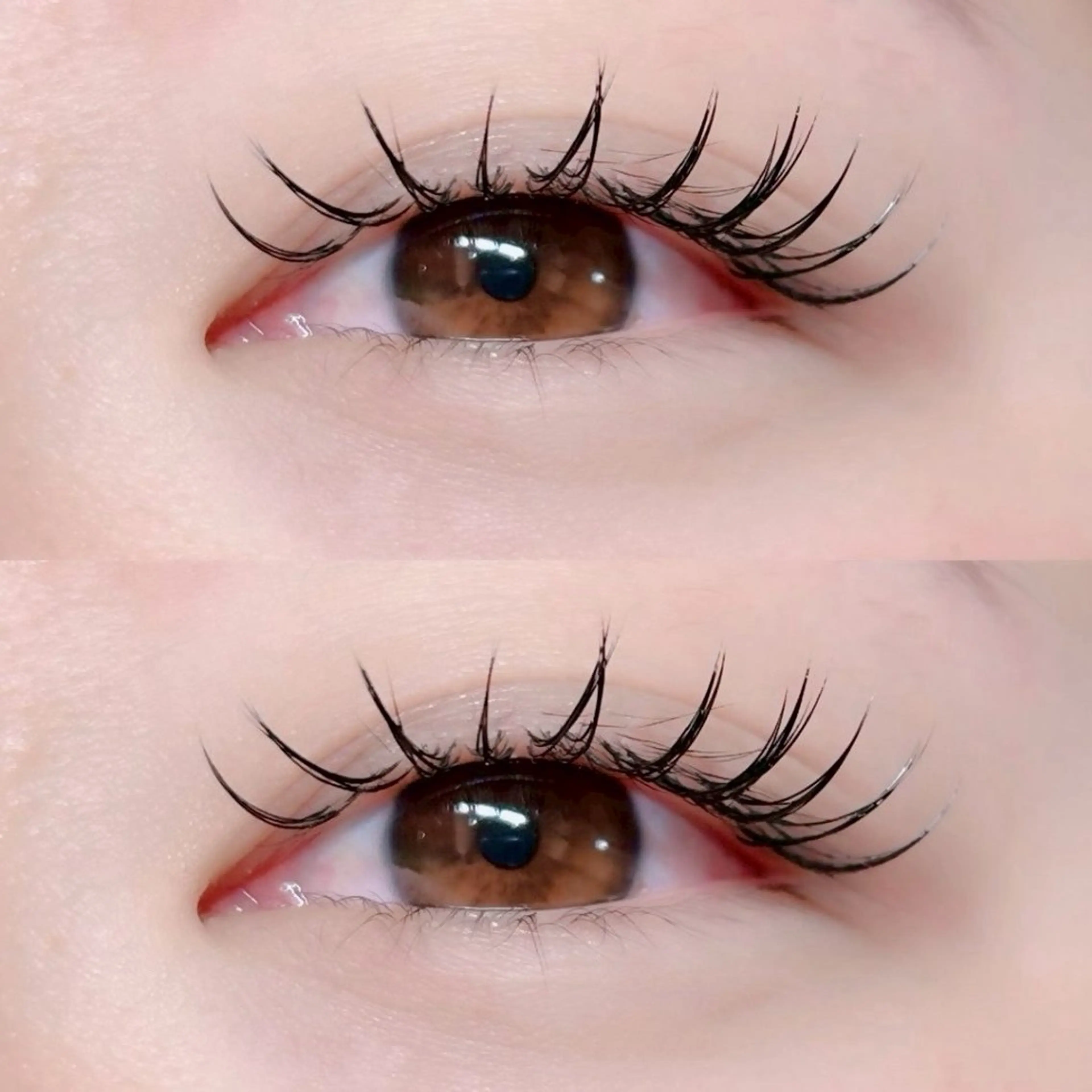 12月限定☀️Jrアイリスト価格✨🎀120本付け放題🎀の写真