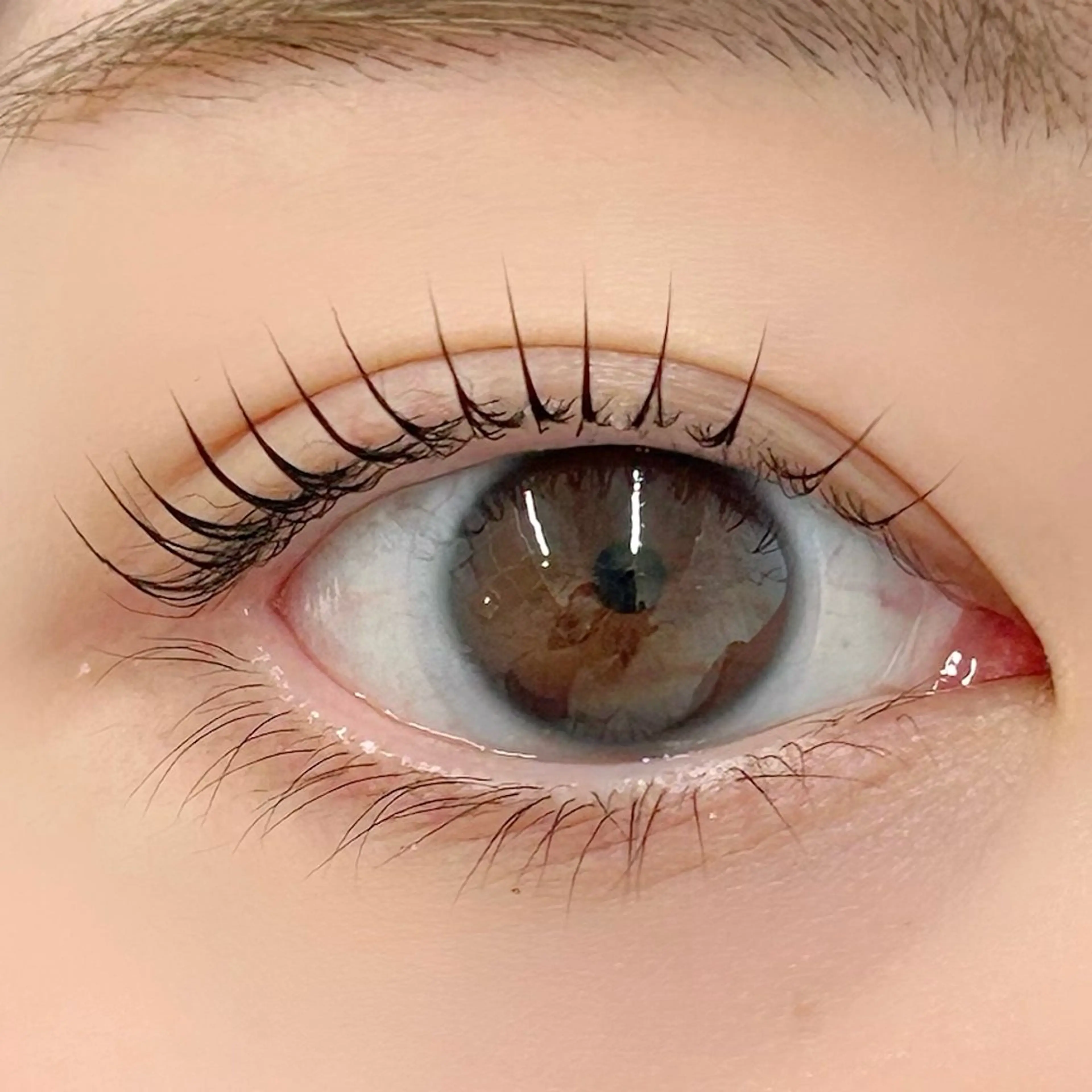 マツエク・マツパ パリジェンヌラッシュリフト 一重×まつ毛パーマ BellFlower Aki（眉・まつげ）のマツエク・マツパデザイン