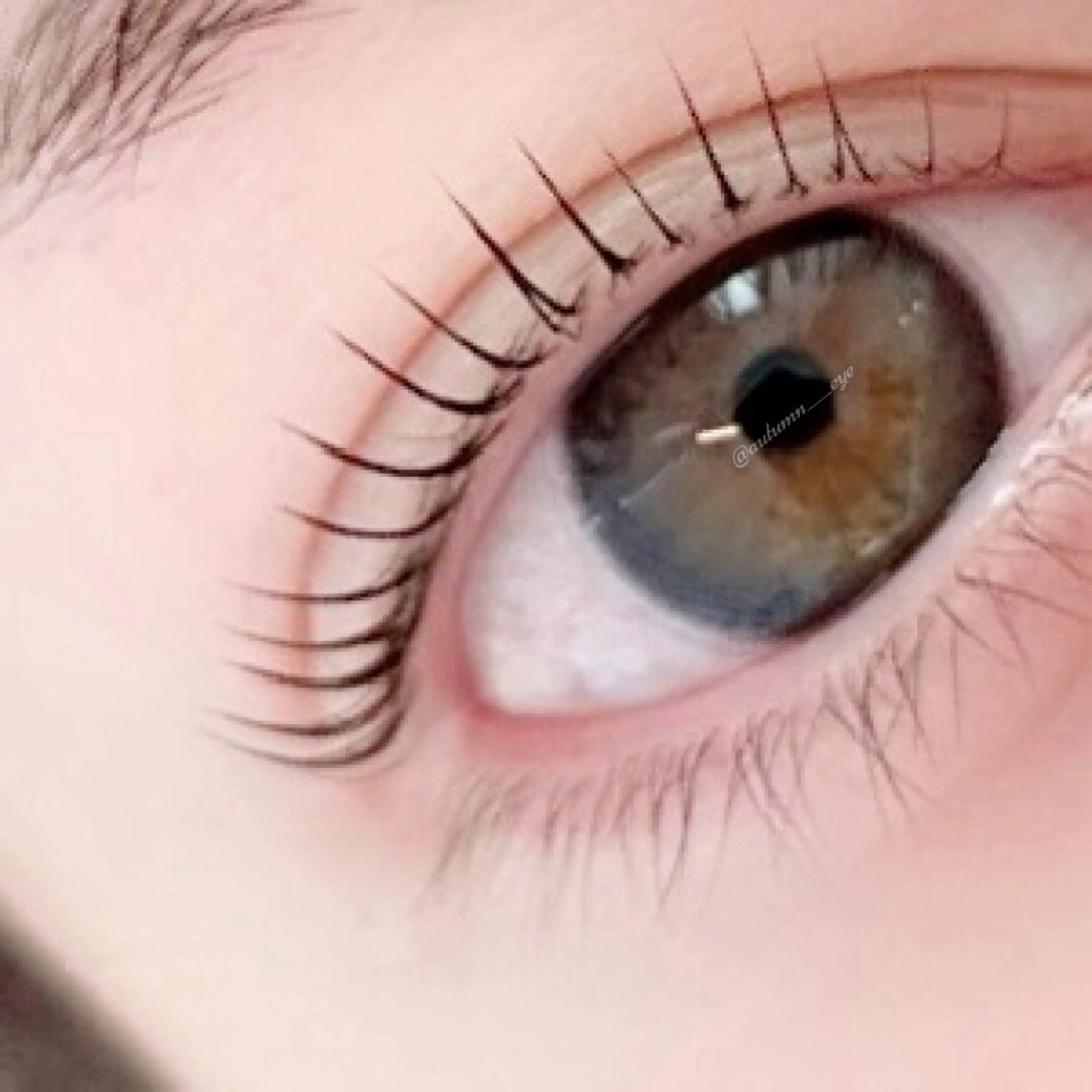 マツエク・マツパ GO TODAY SHAiRE SALON 原宿Felina店所属・原宿 eyelist aki🕯のマツエク・マツパデザイン