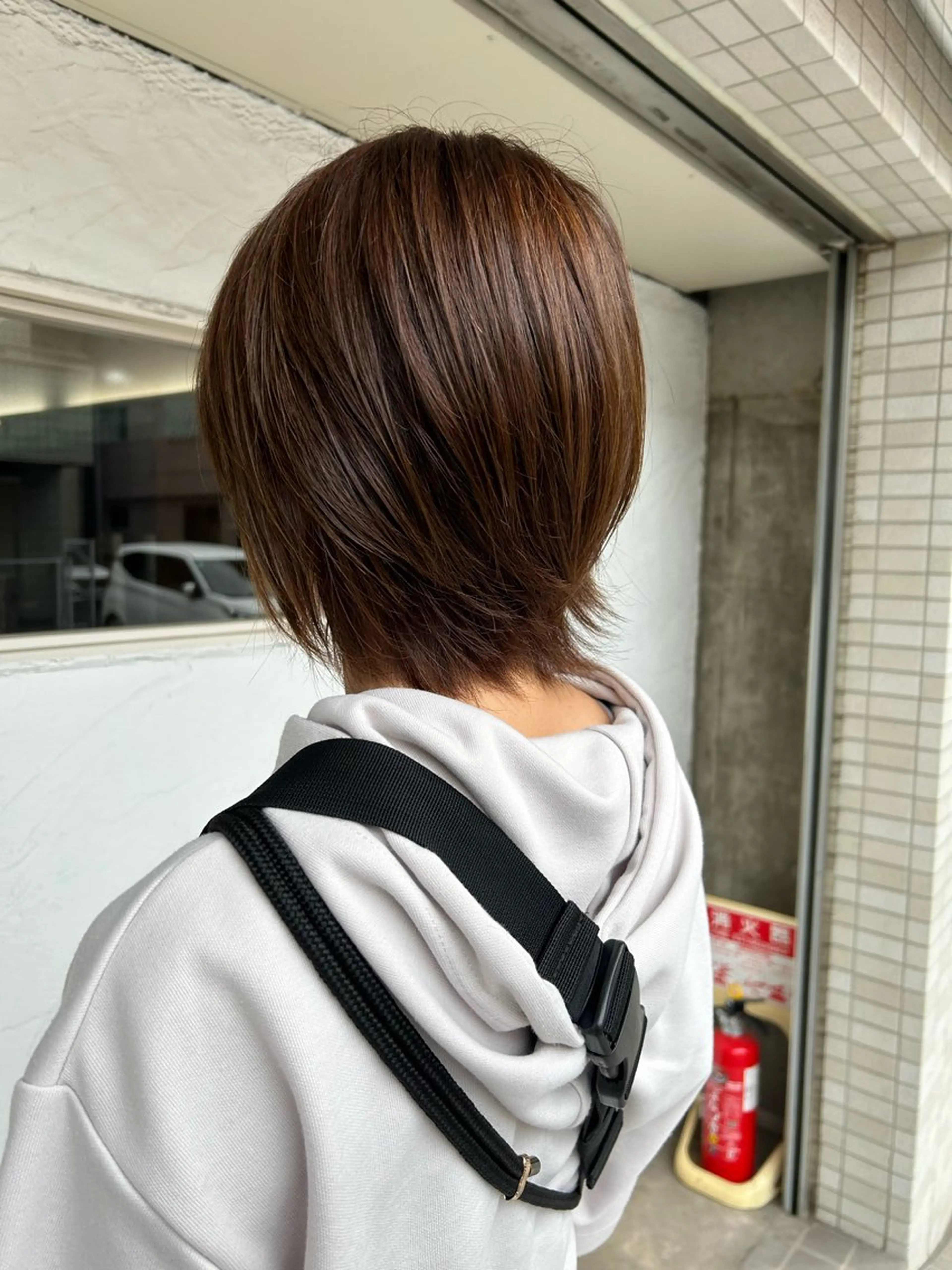 カラー 加本 翼のヘアスタイル