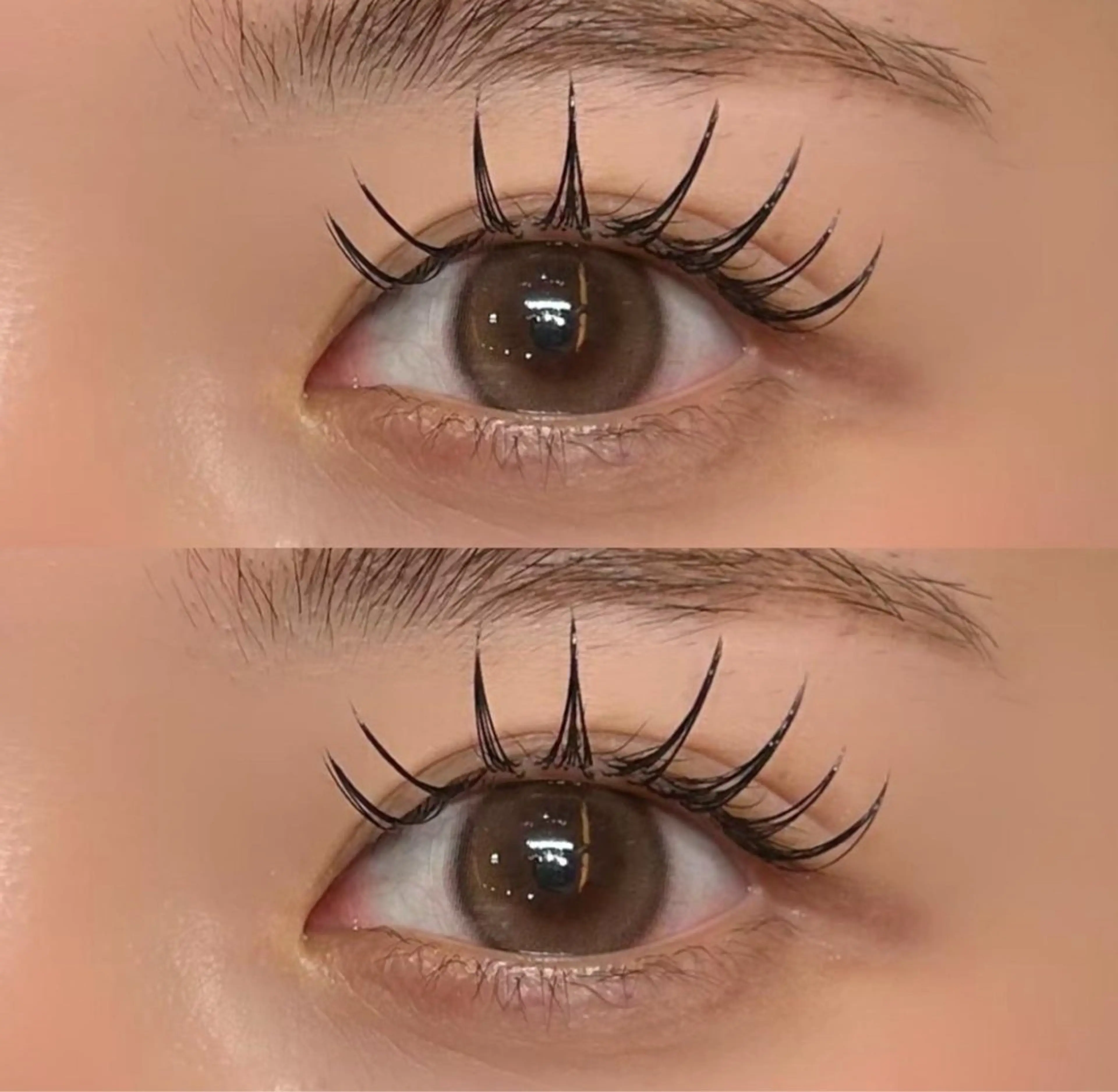 【練習モデル】フラットラッシュ100本🎀  ⚠️詳細は下⬇️に必ずお読み頂きご予約お願い致しますの写真