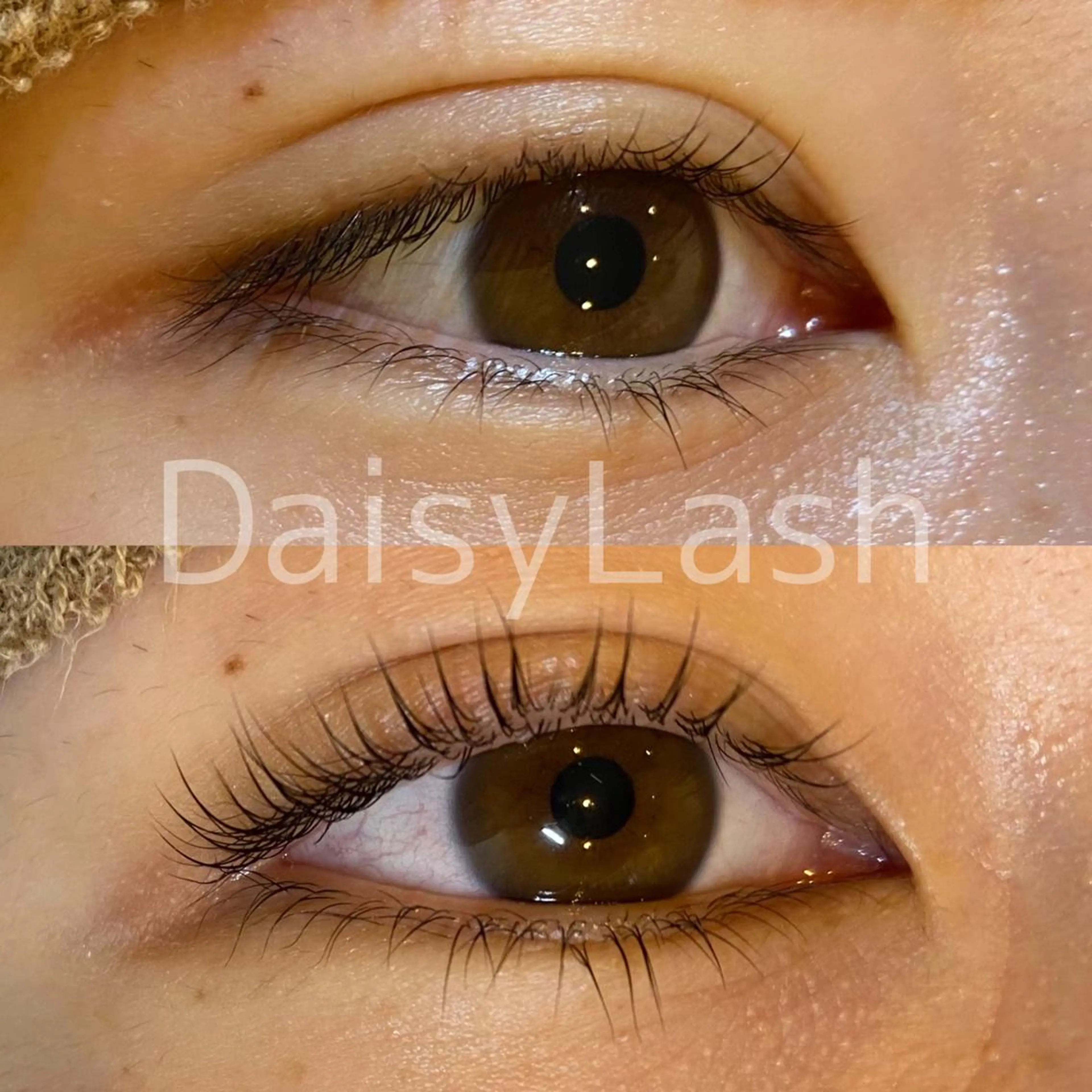 マツエク・マツパ DaisyLash 京橋店のマツエク・マツパデザイン