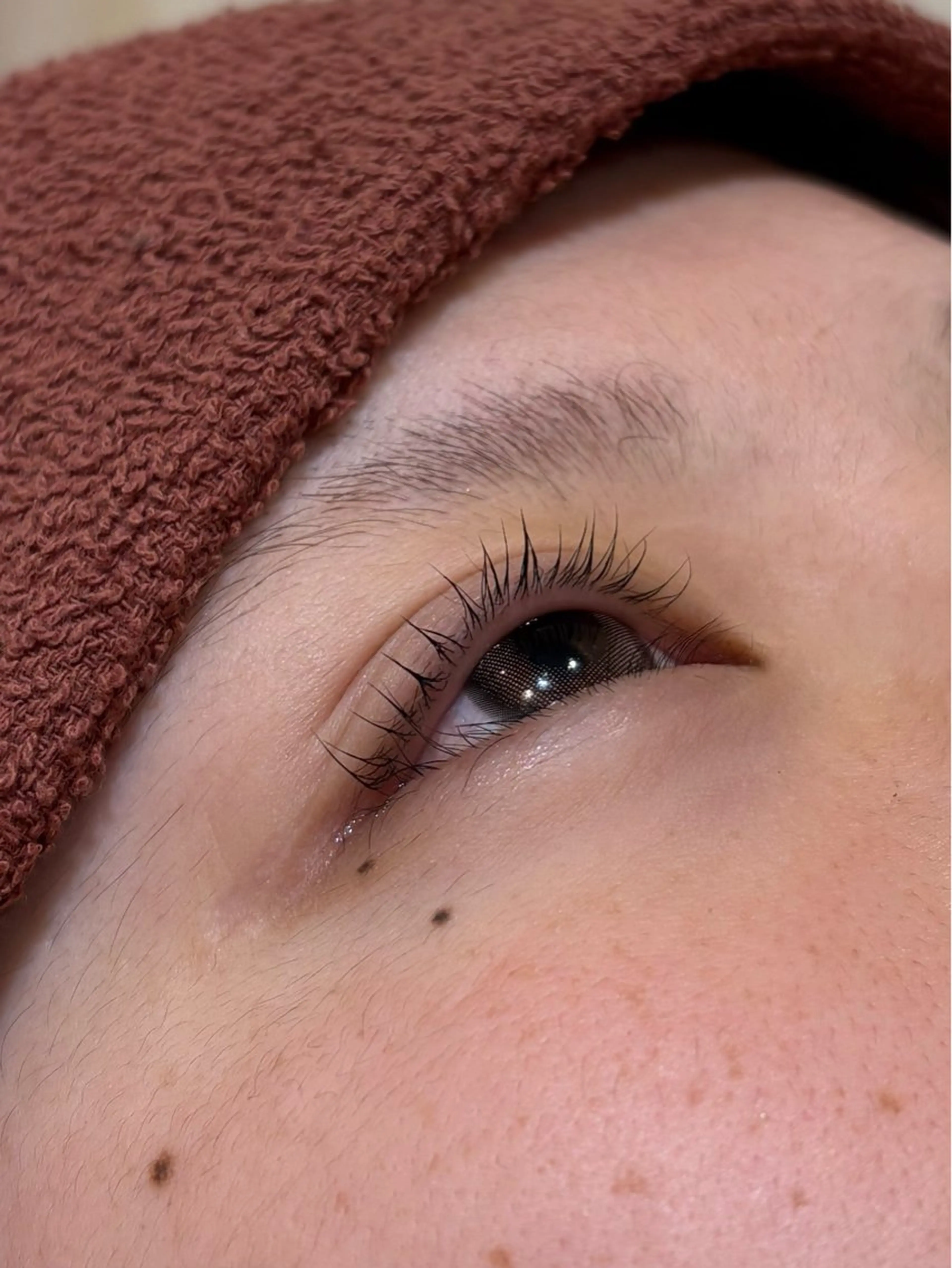 平日限定　ラッシュリフト【毛先までカールをつけたい方】の写真