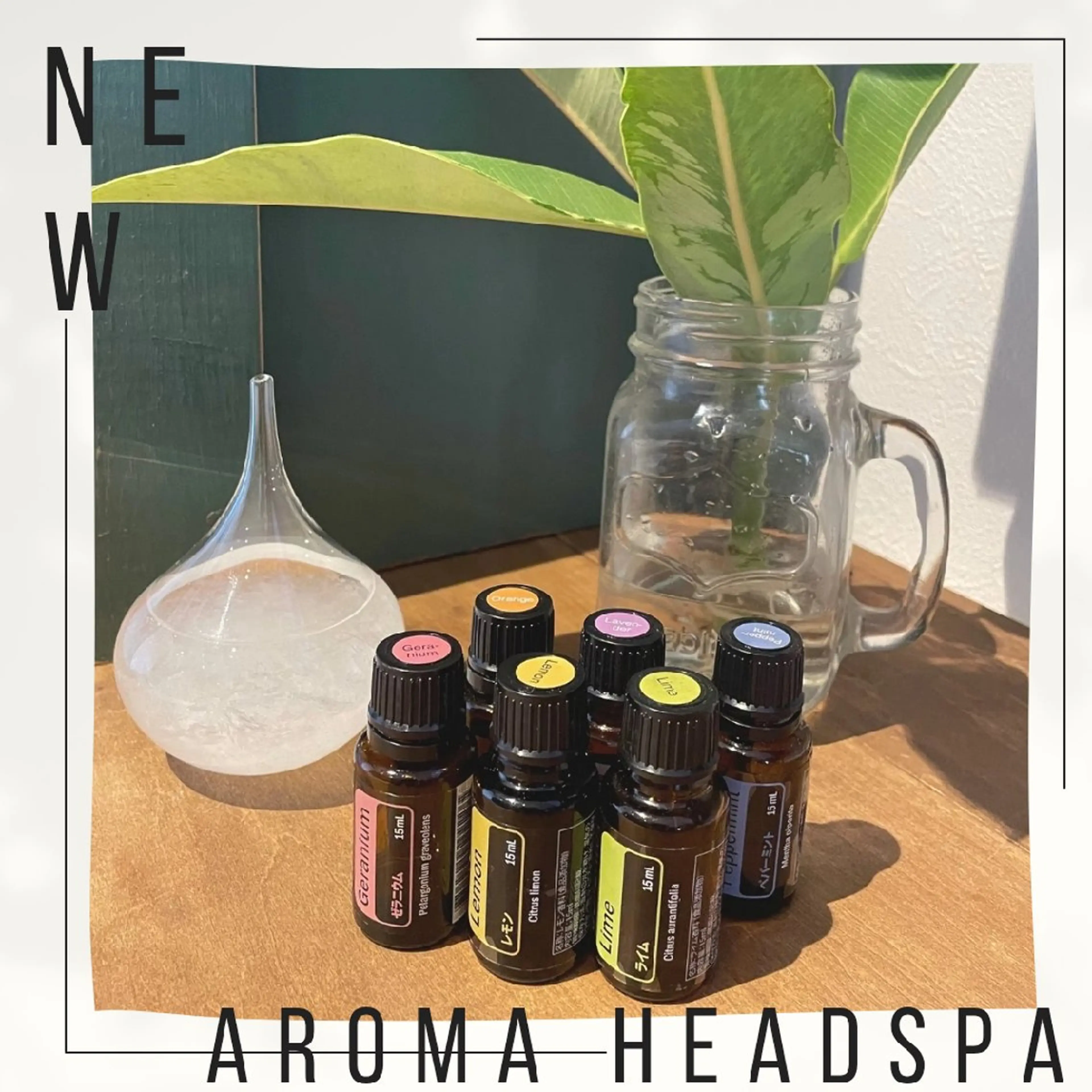 【🌹香りで癒されるエステ】💎アロマヘッドスパ×フェイシャルエステシェーブの写真