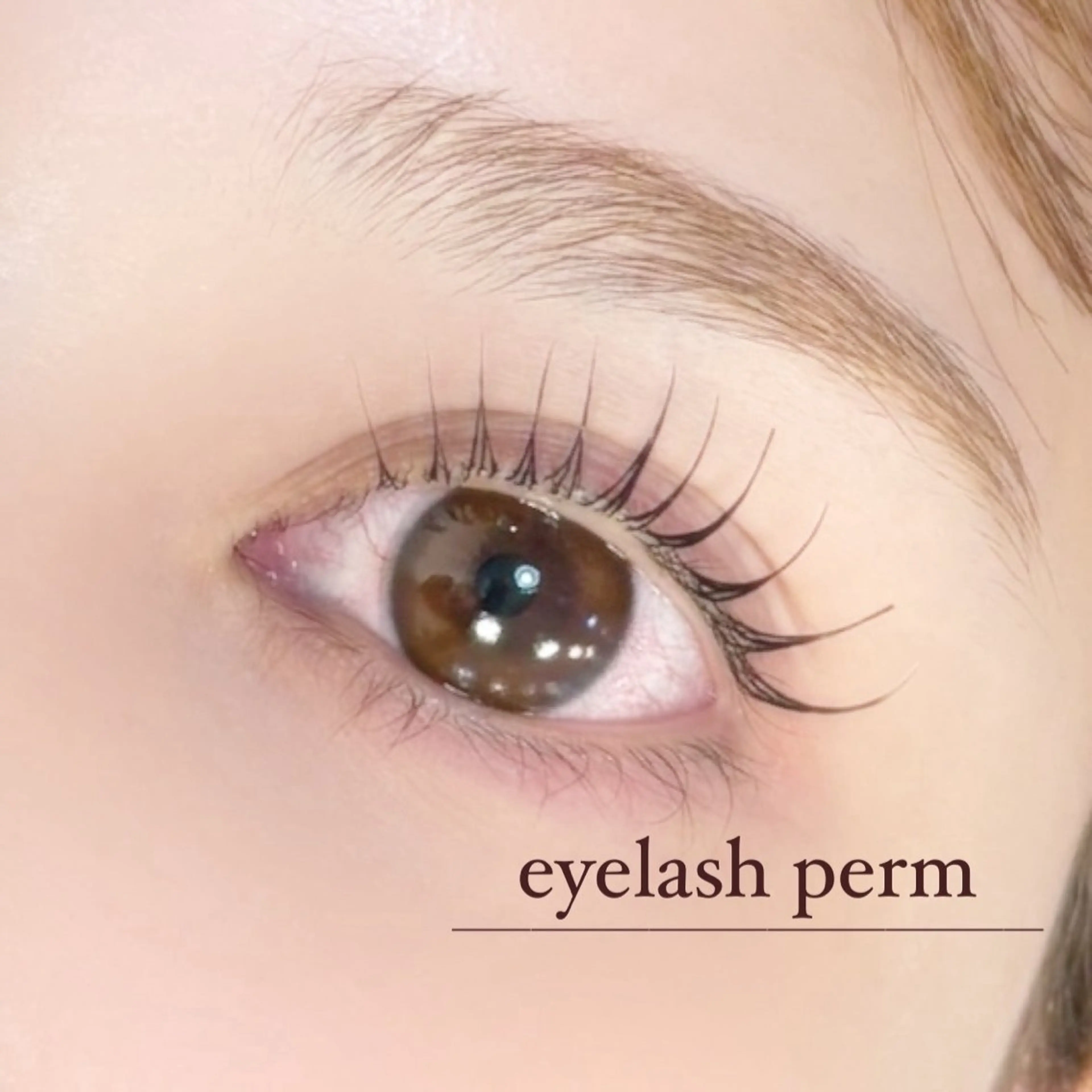 メンズ マツエク・マツパ メンズパーマ 束感まつ毛 パリジェンヌラッシュリフト 一重×まつ毛パーマ eyelashsalon I:belle by BINEL所属・【i:belle】 Rinのマツエク・マツパデザイン