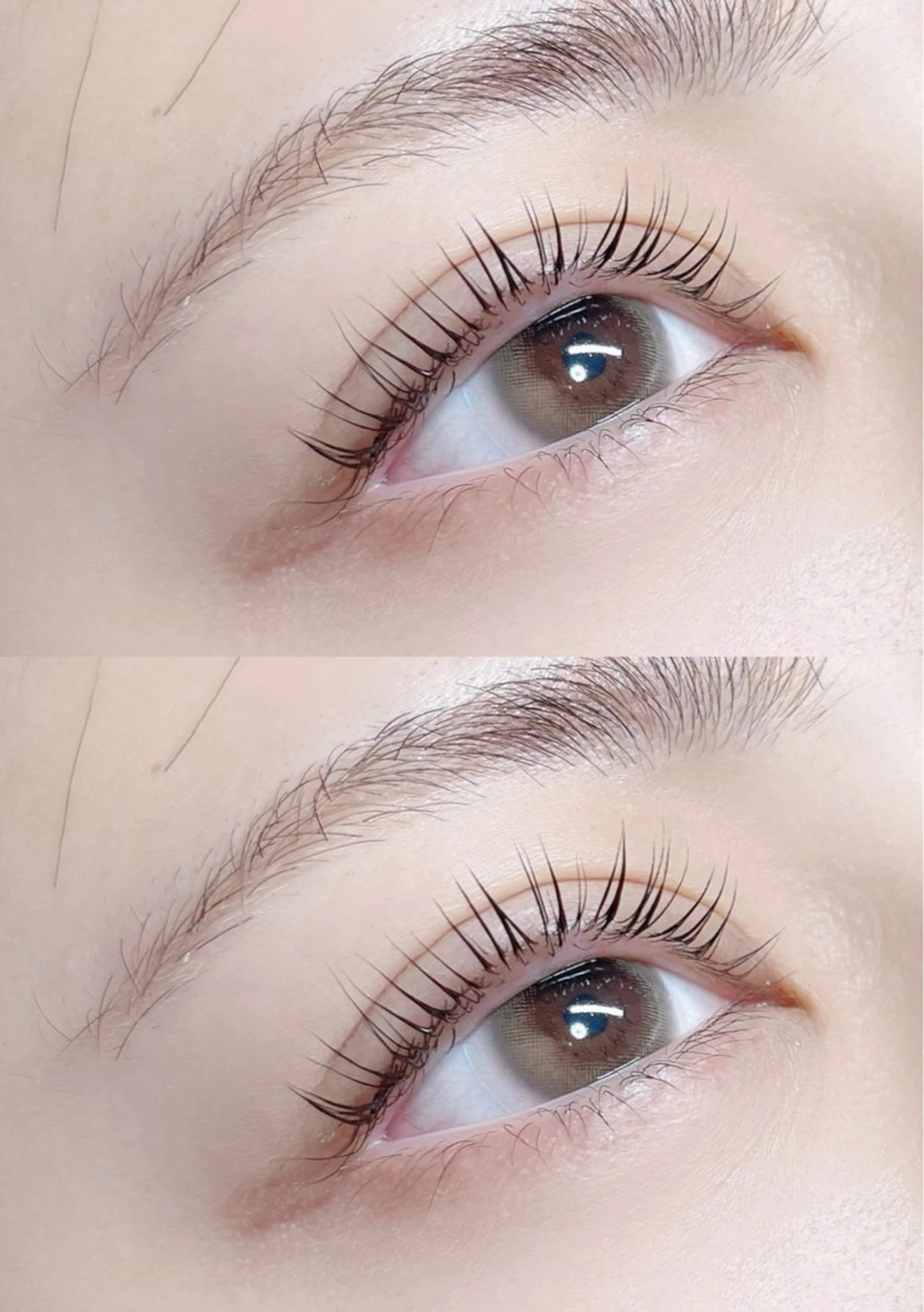 【期间限定】パリジェンヌラッシュリフト🦋美容液コーティング付きの写真