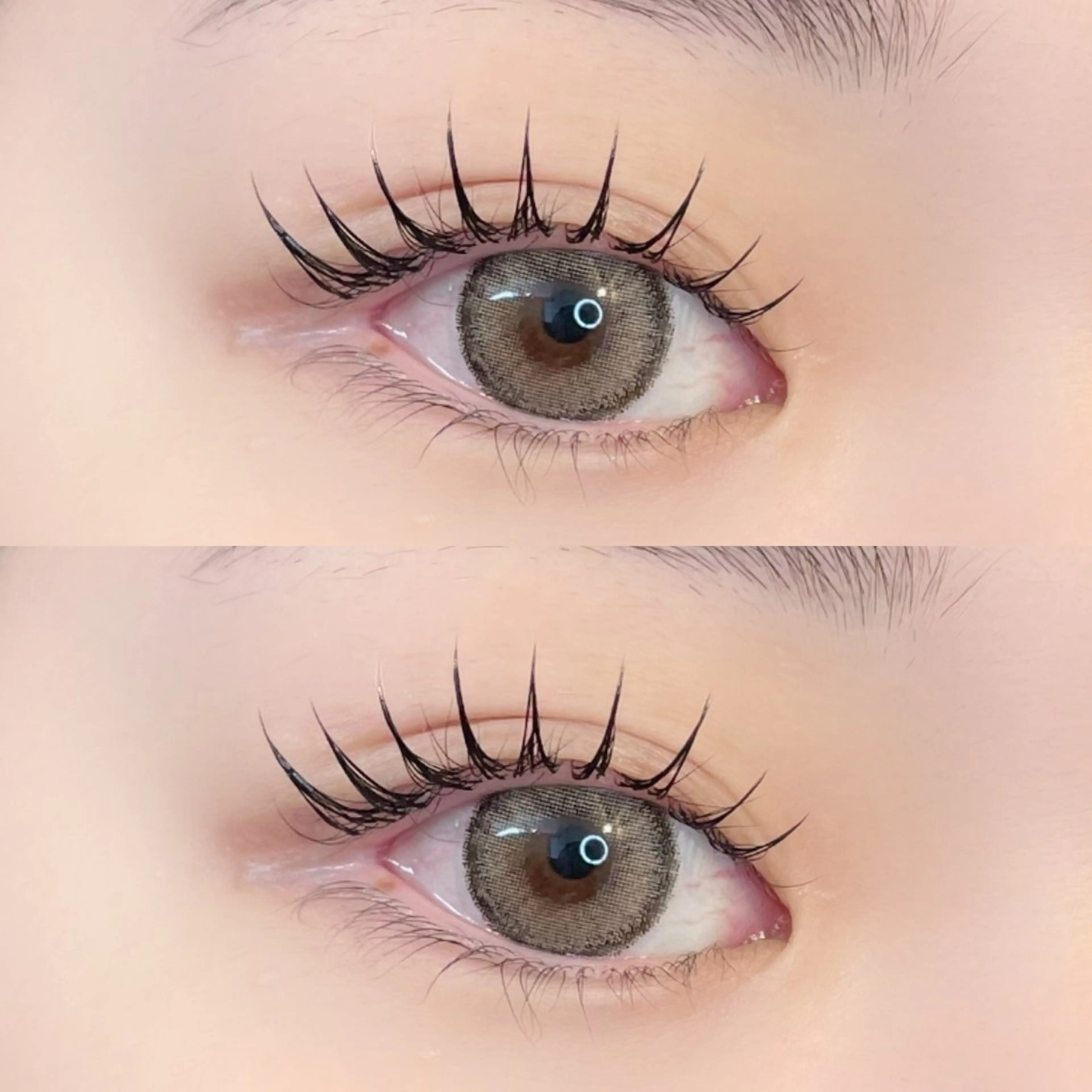 【ミニモ限定価格】🫧パリジェンヌ×マツエク100-120本迄🫧の写真