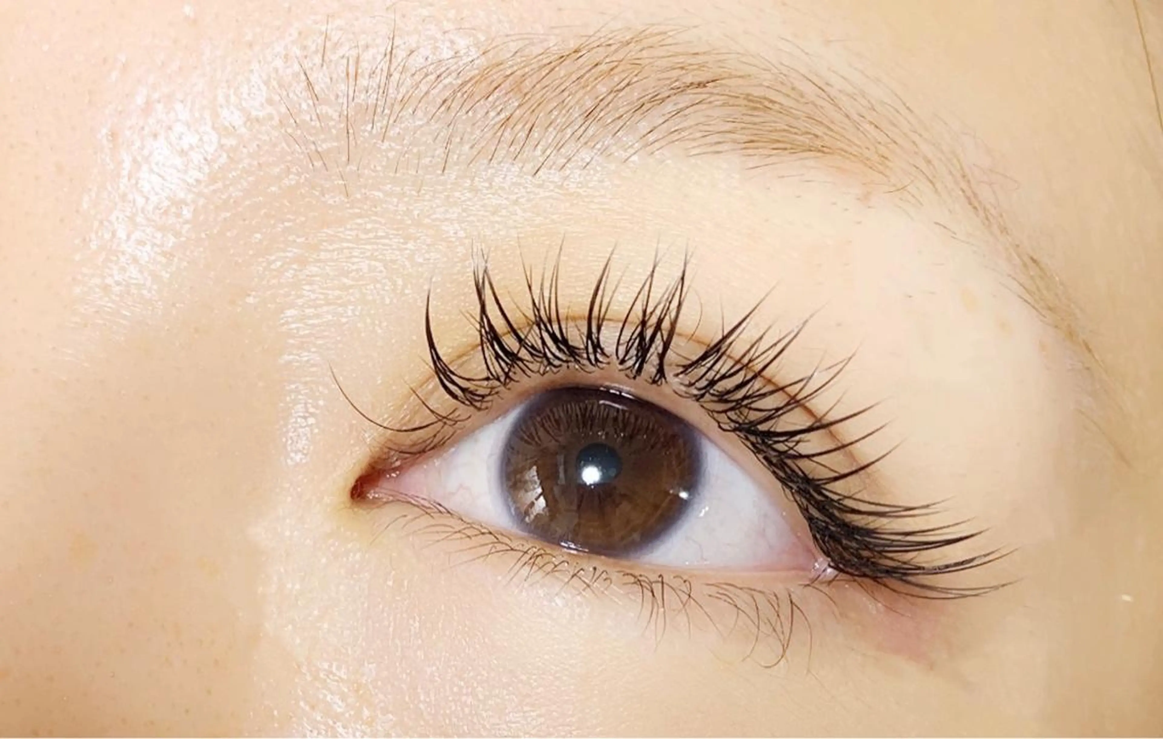 ✨ふわふわ♪フェアリーマットラッシュ120本/オフ無料/フラットラッシュの写真