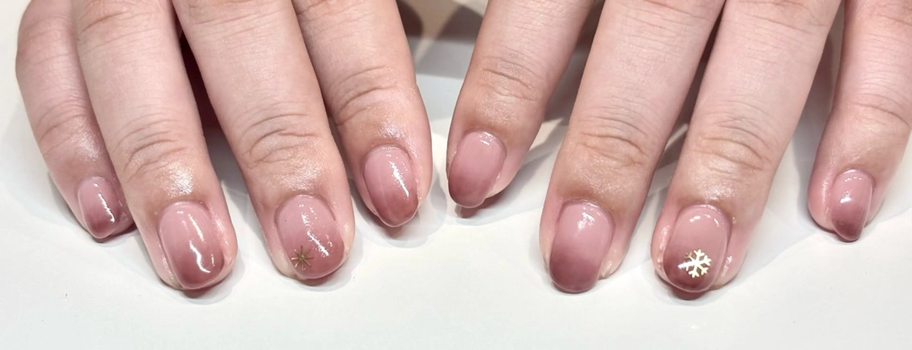 グラデーションの写真