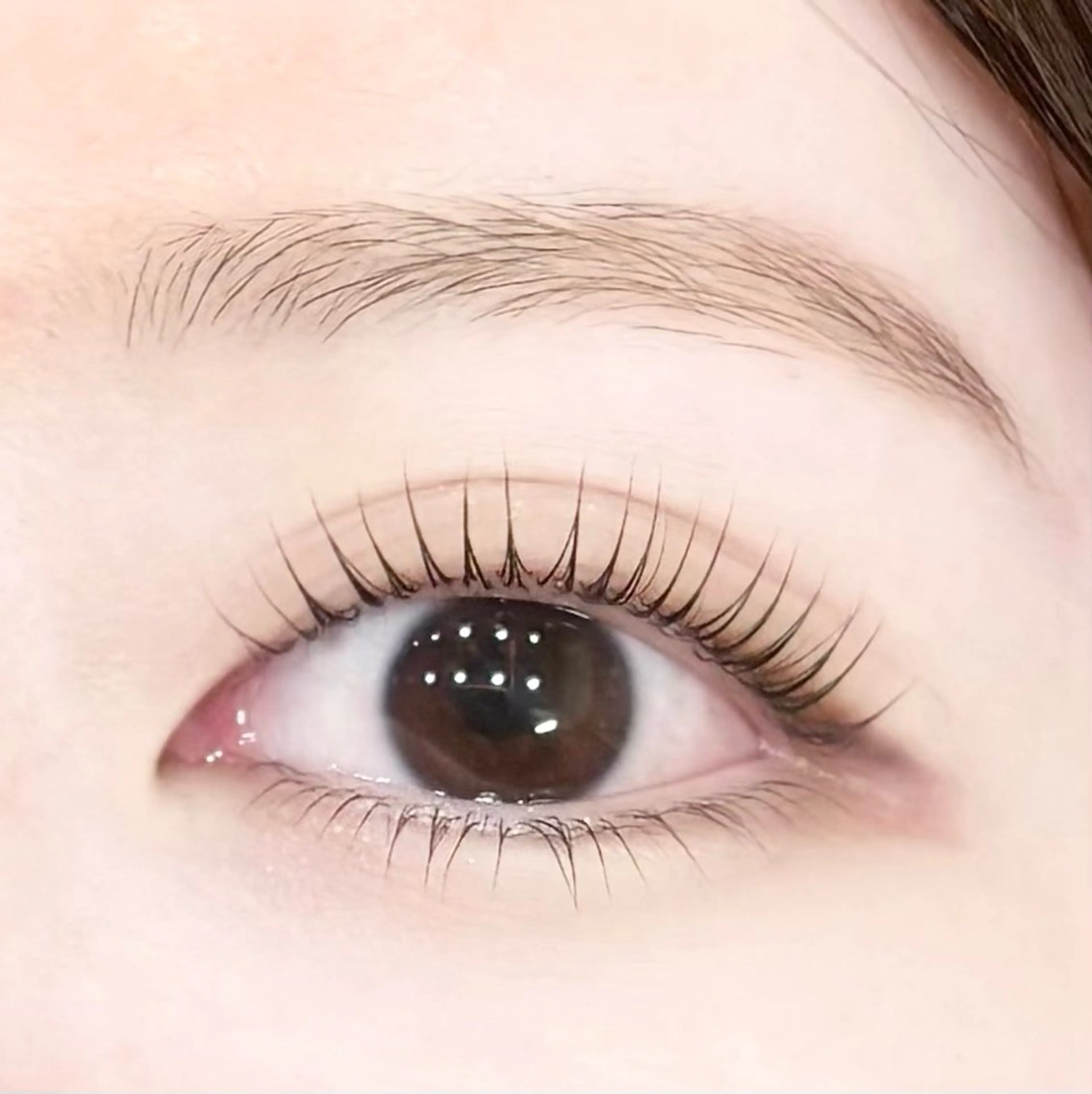 3回目迄🌷大人気🌷目元ぱっちり＜上下＞パリジェンヌラッシュリフト¥7700(ラッシュリフトに変更できます)の写真