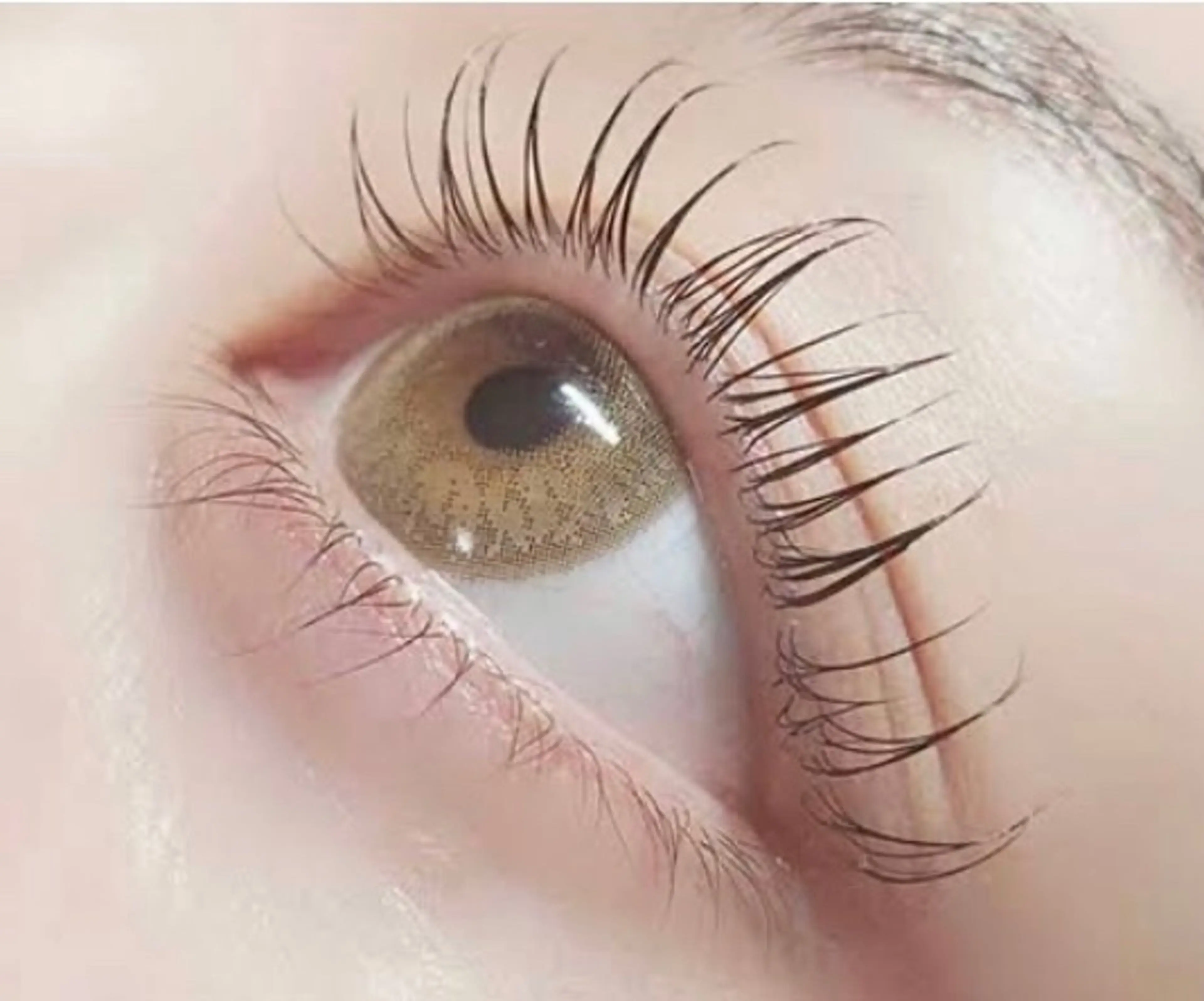 マツエク・マツパ Jill所属・eyelash 大正のエステ・リラクイメージ