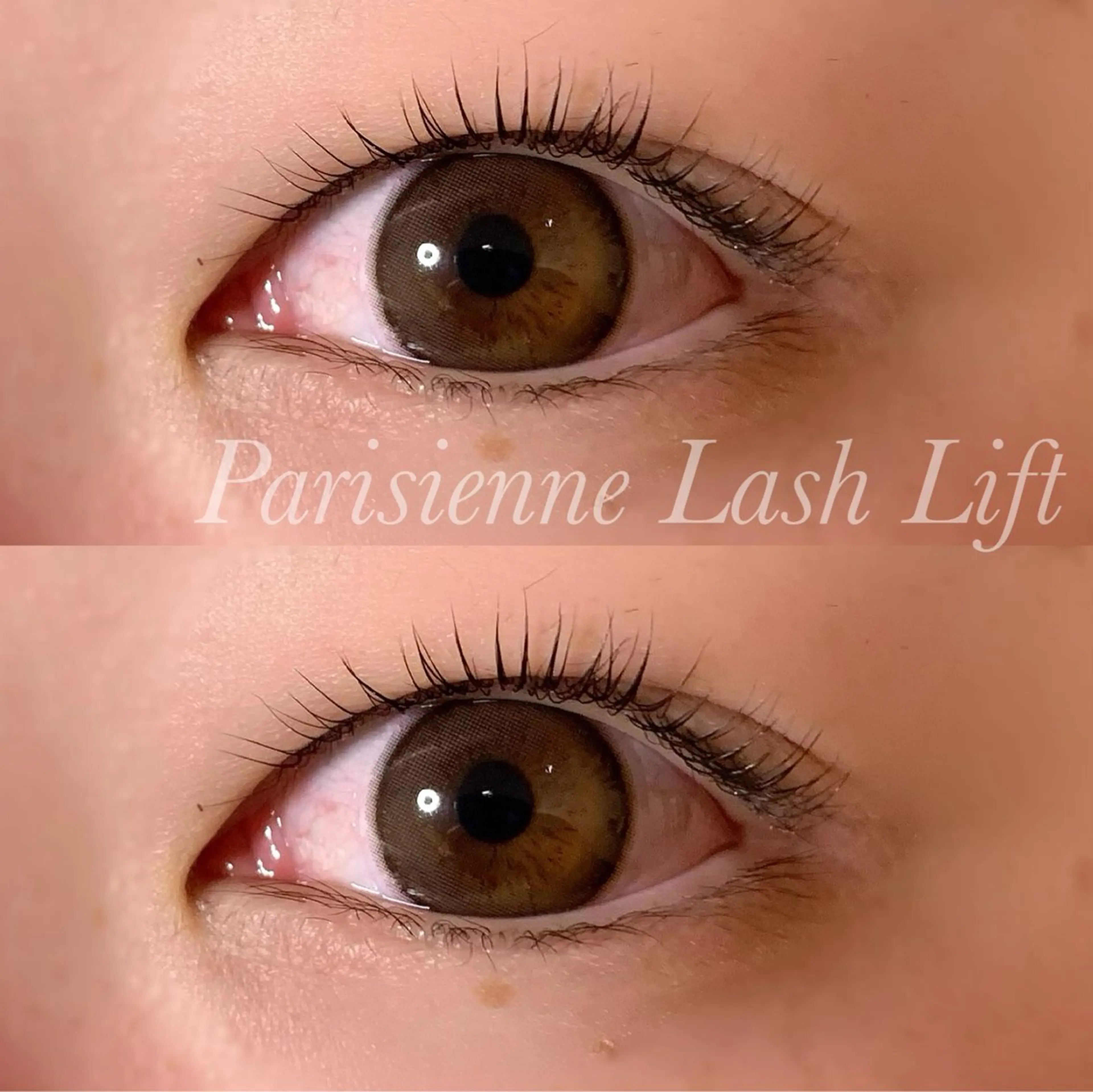 マツエク・マツパ パリジェンヌラッシュリフト マツパ Ayumi.pro 🍆N《4階》のマツエク・マツパデザイン