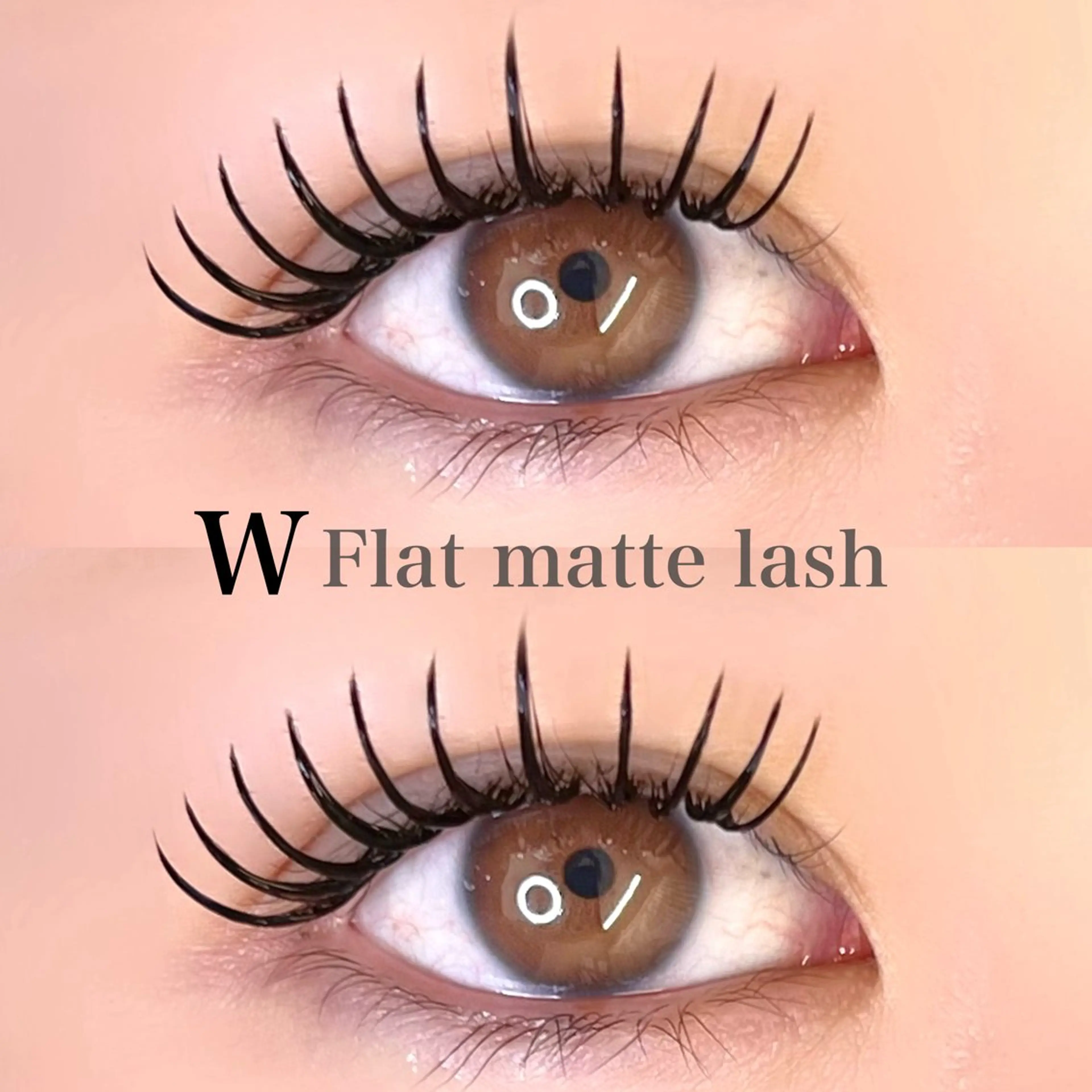 【💜W"Flat matte lash『120束』💜】の写真
