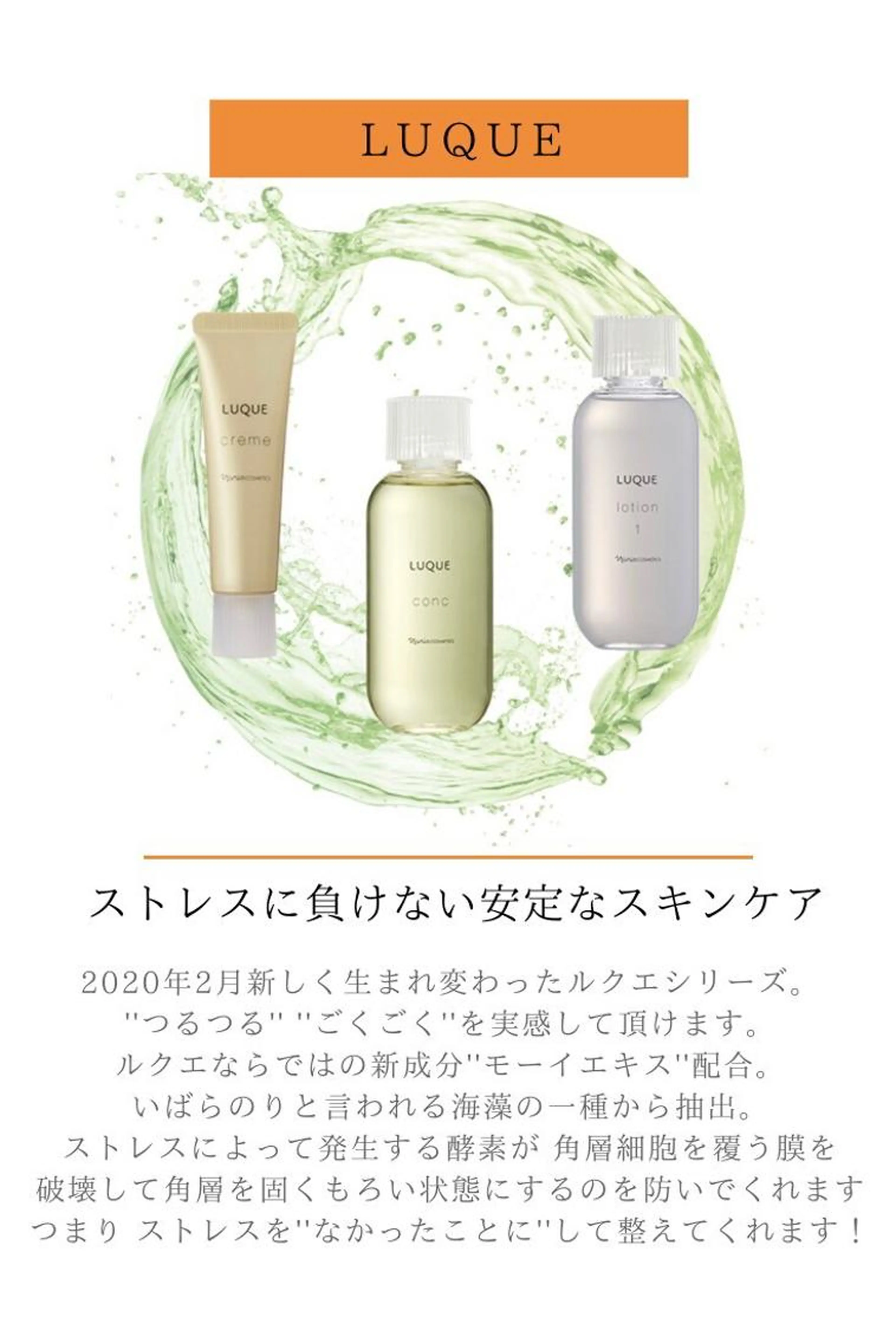 1ヶ月スキンケアモニター輝く肌コースの写真