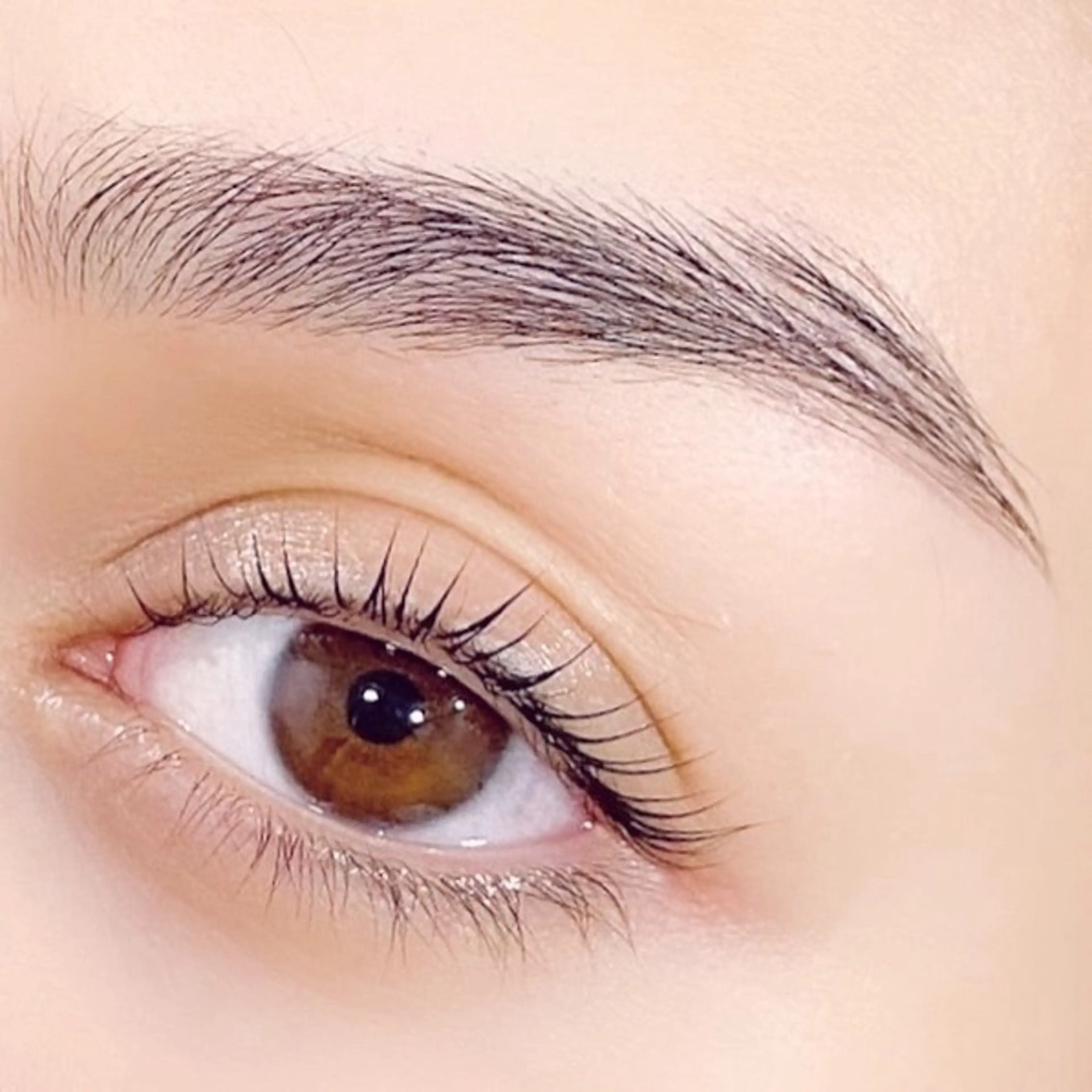 マツエク・マツパ まつげパーマ LASHISA所属・LASHISA 目黒/白金台の眉毛・アイブロウイメージ