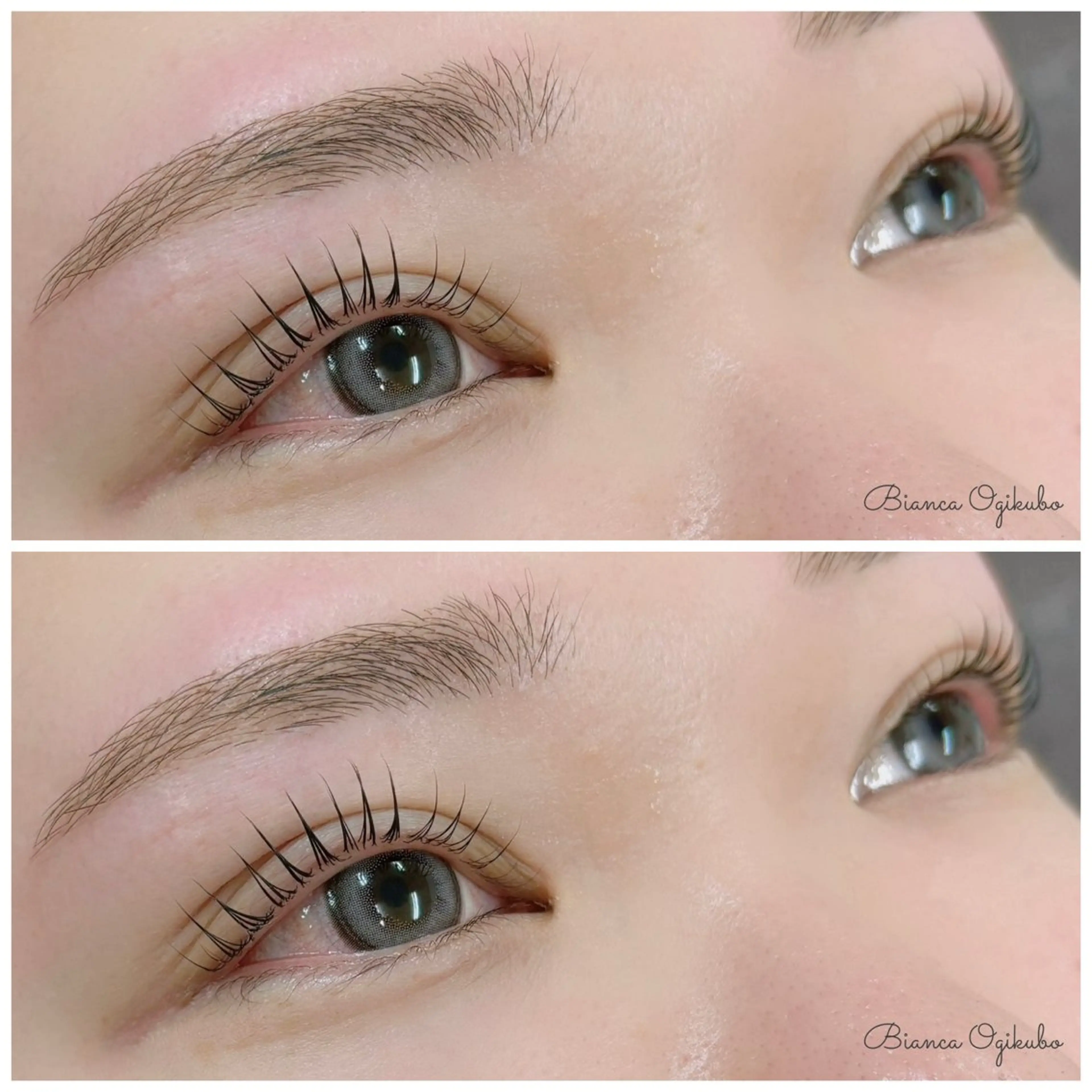 アイブロウ ワックス脱毛 眉カット その他(アイブロウ) BIANCA しょうじのマツエク・マツパデザイン