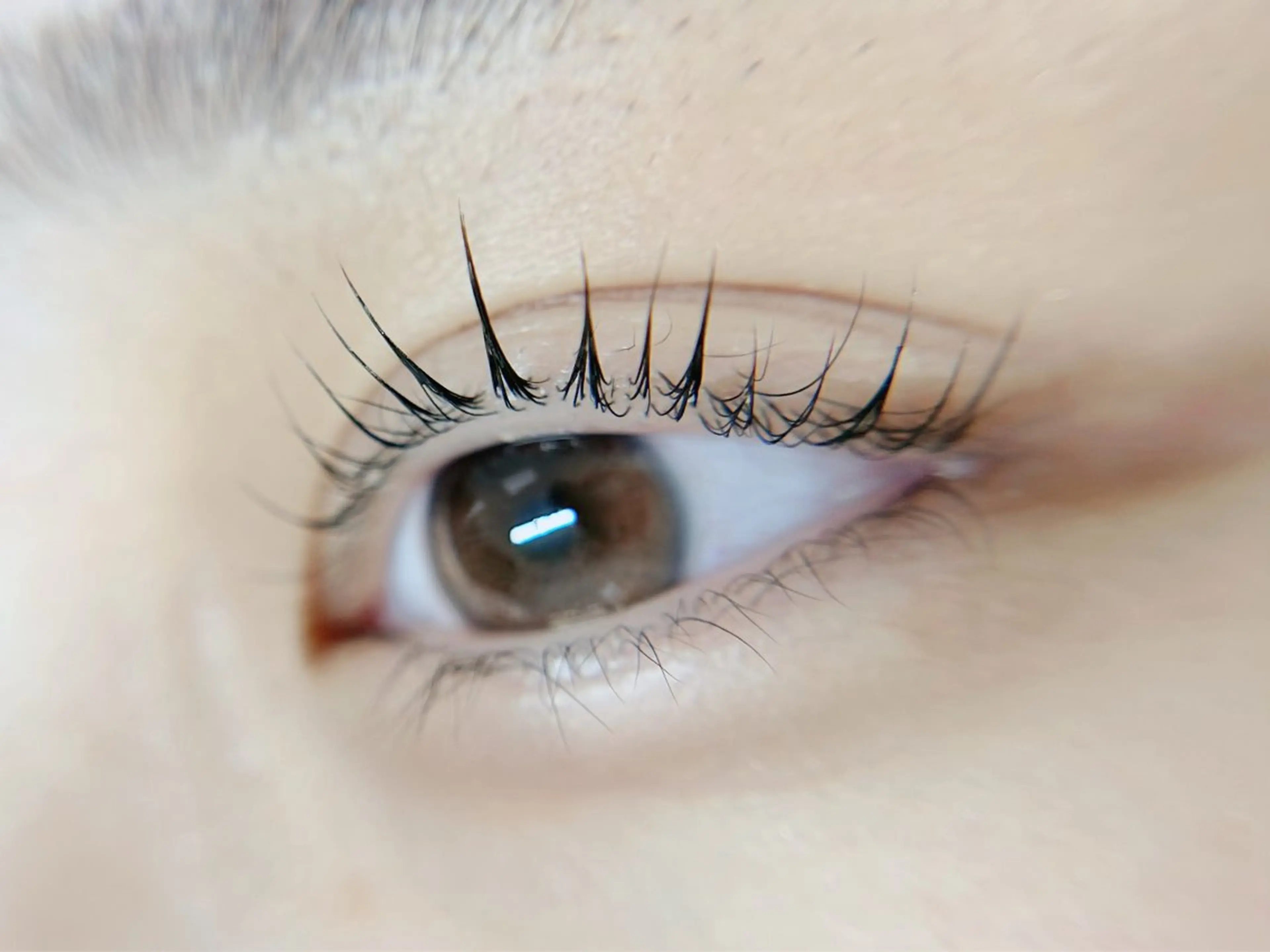 マツエク・マツパ マツパ eyelash salon neu"所属・neu'' /ノイ まつ毛　salonのマツエク・マツパデザイン