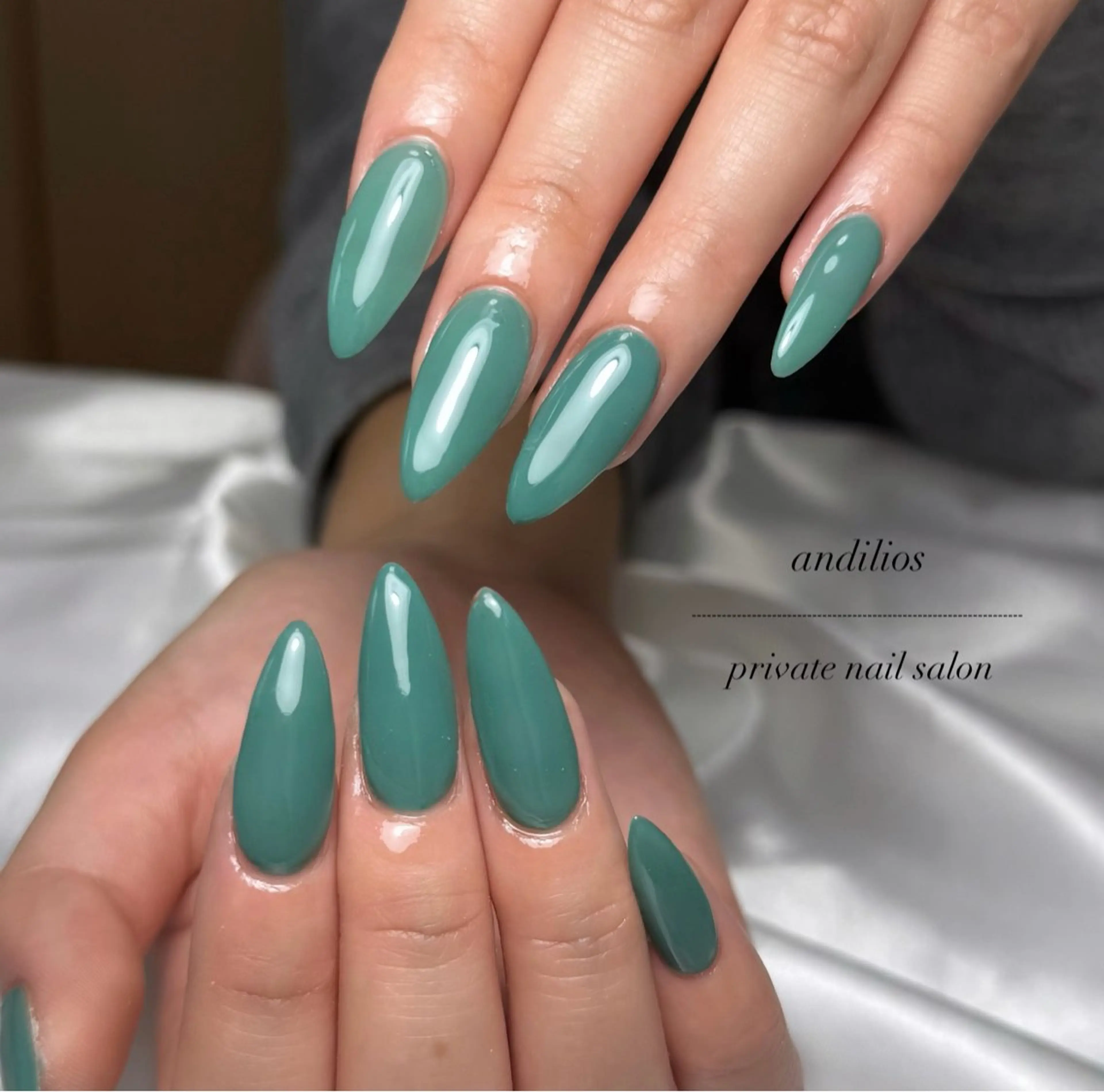 ネイル ハンドネイル andilios / private nail salon所属・andilios / shioriのネイルデザイン