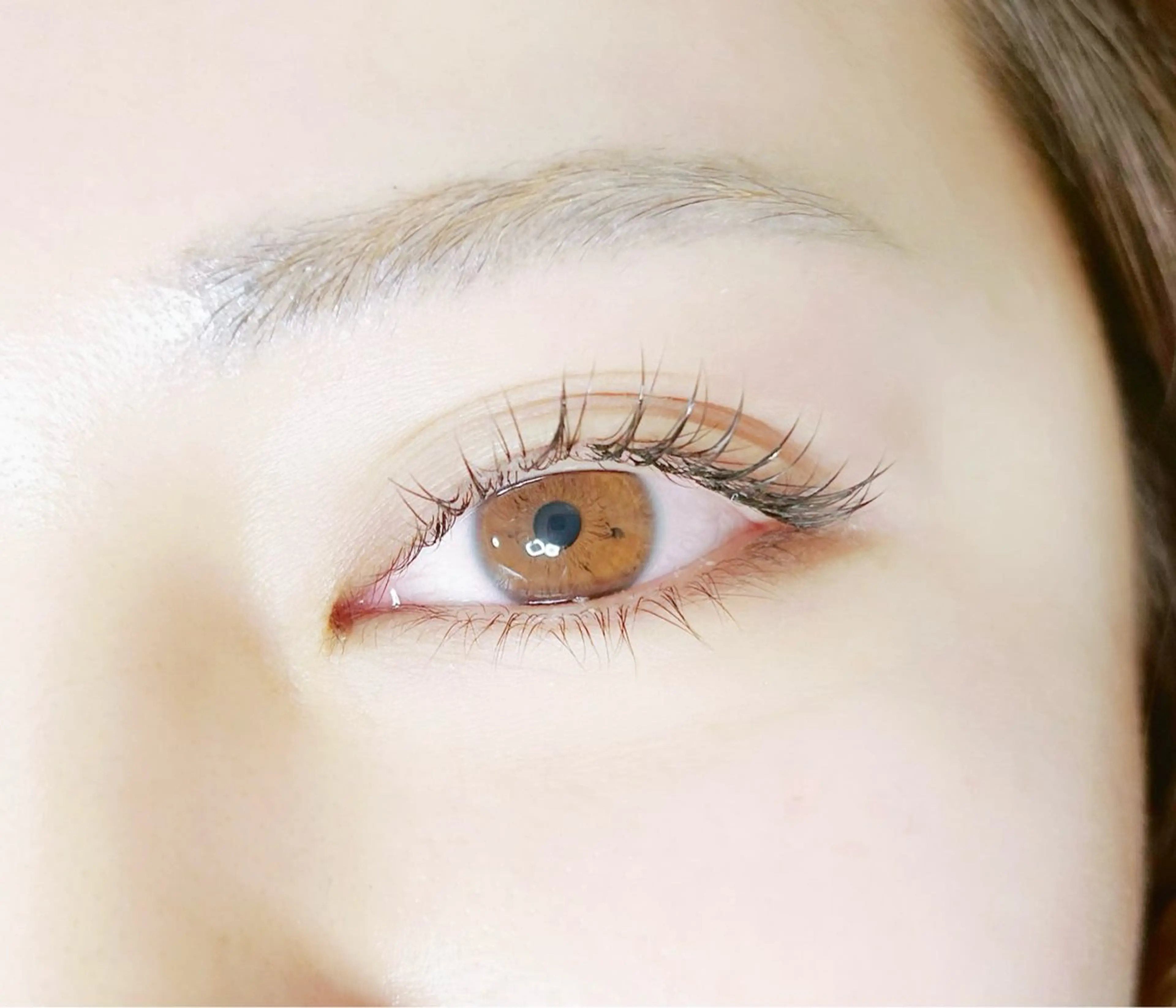 フラットラッシュ120本の写真