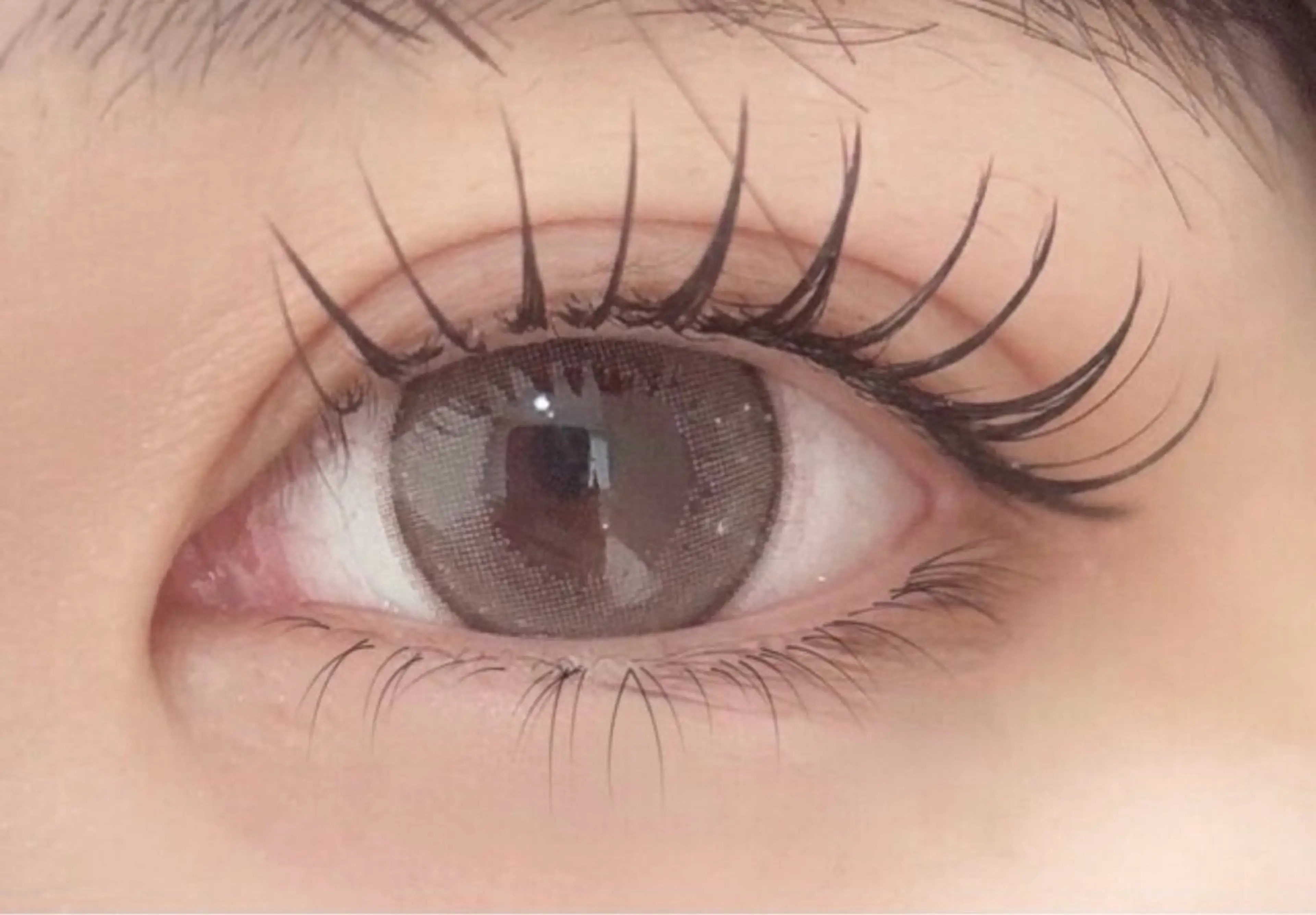 取れにくい独自の技術💡Wフラットラッシュバインドロック60束 《4950円》初回シングルオフ無料⭐️の写真