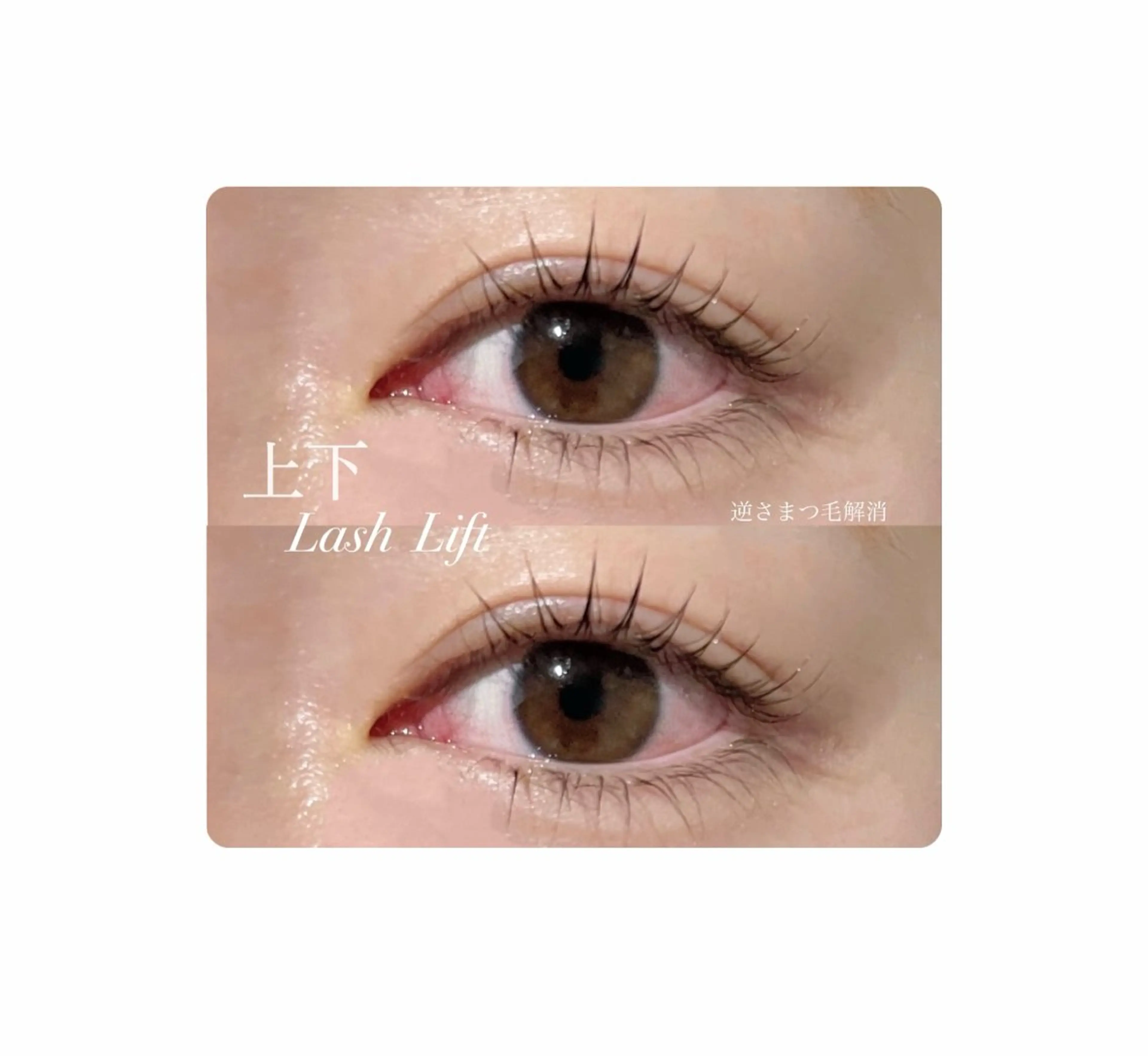 マツエク・マツパ Beauty　salon　Mil所属・🤍下村 絢香🤍のマツエク・マツパデザイン