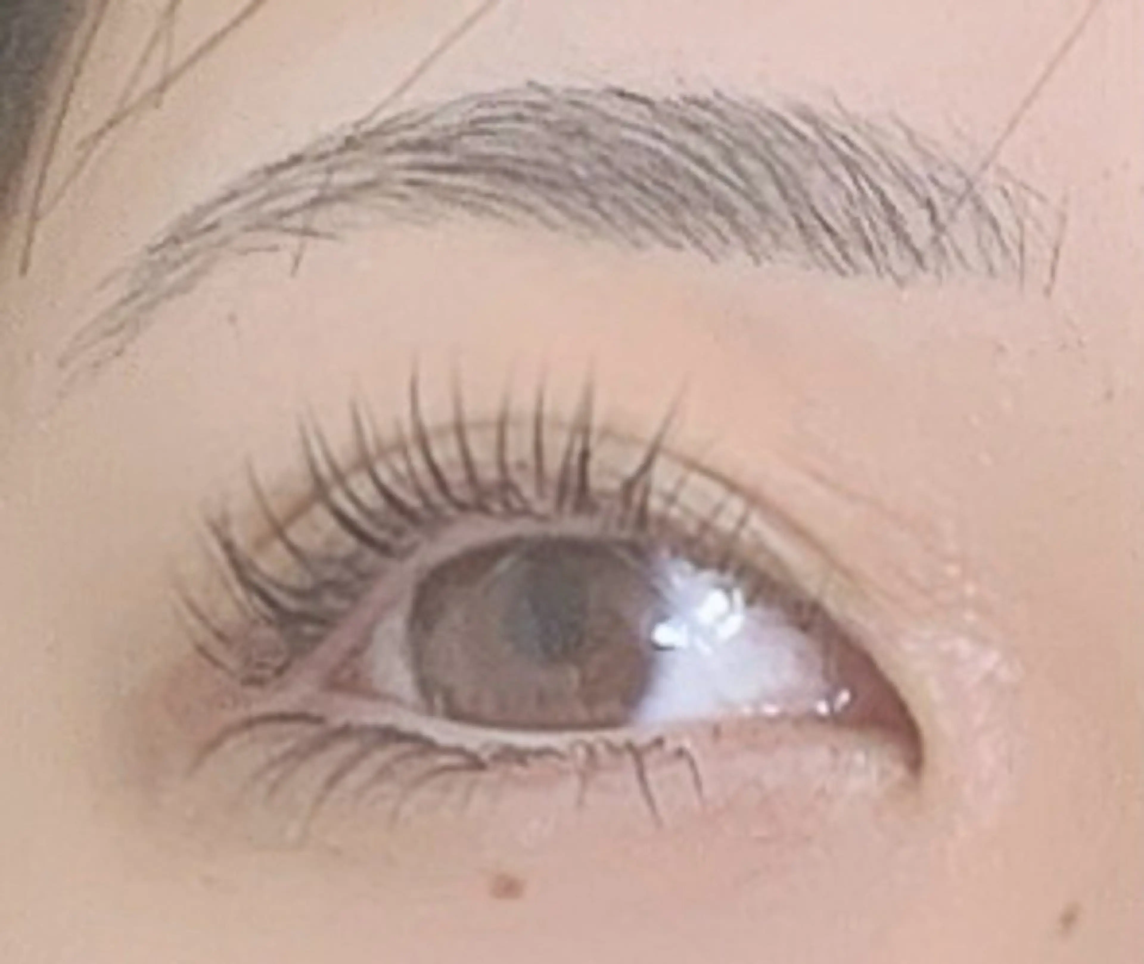 大人気マツパ、まつげ育毛サ-ビス(上のみ)と下まつげエクステ50本まで5800の写真