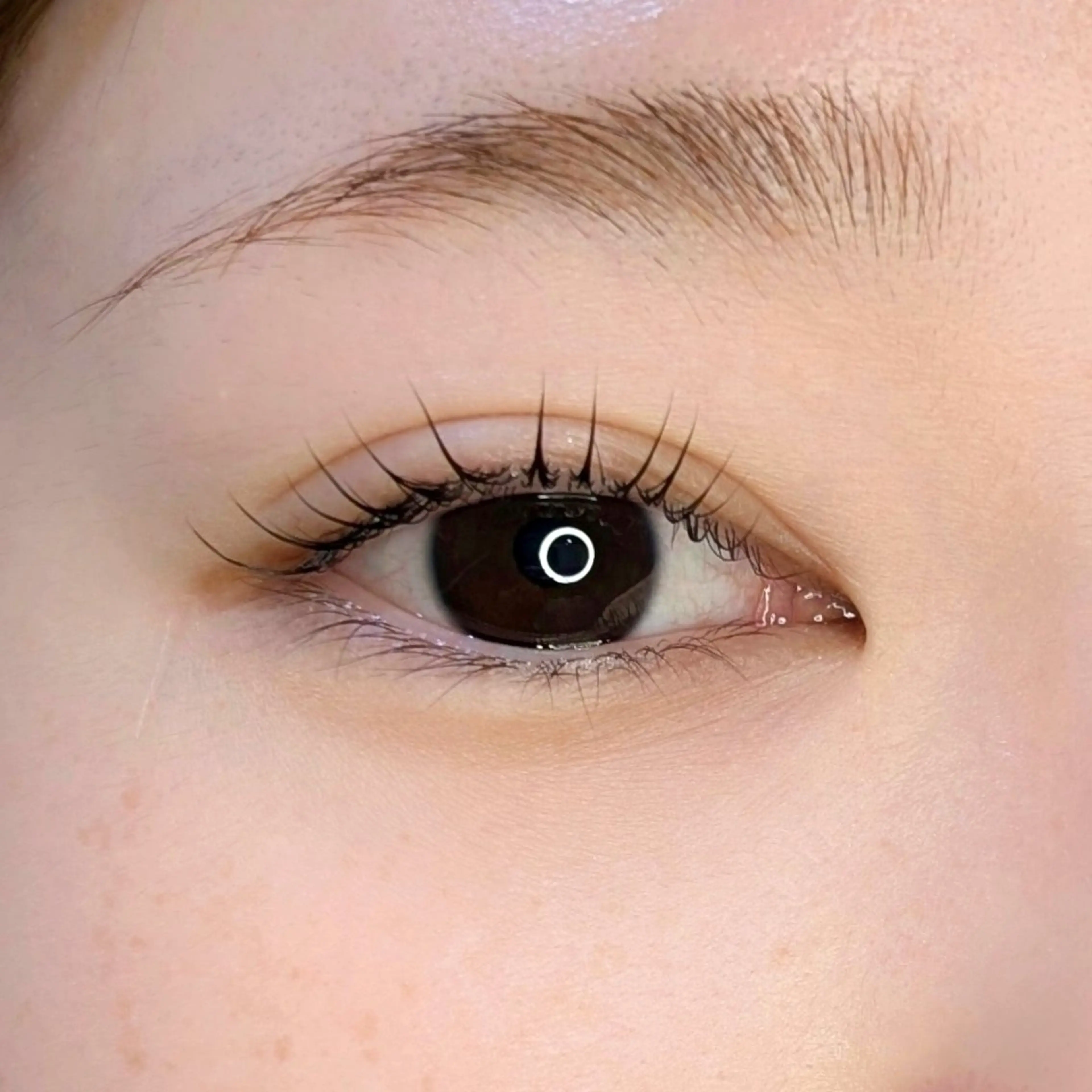 マツエク・マツパ SUGAWARA YUMIのマツエク・マツパデザイン